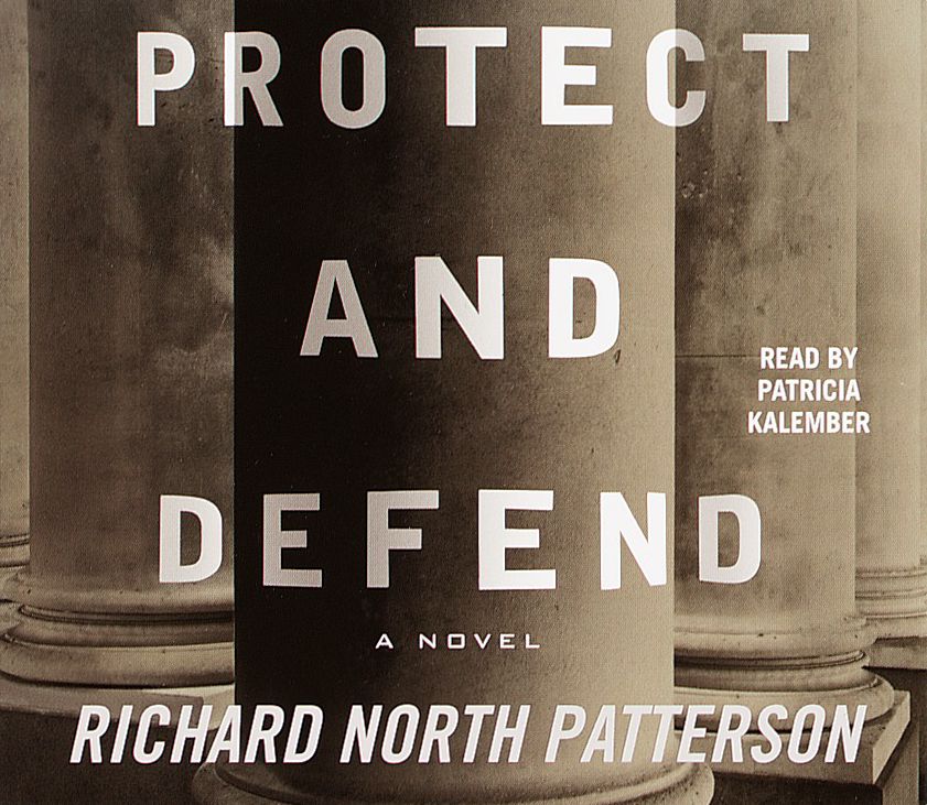 Protect and Defend: A Novel
