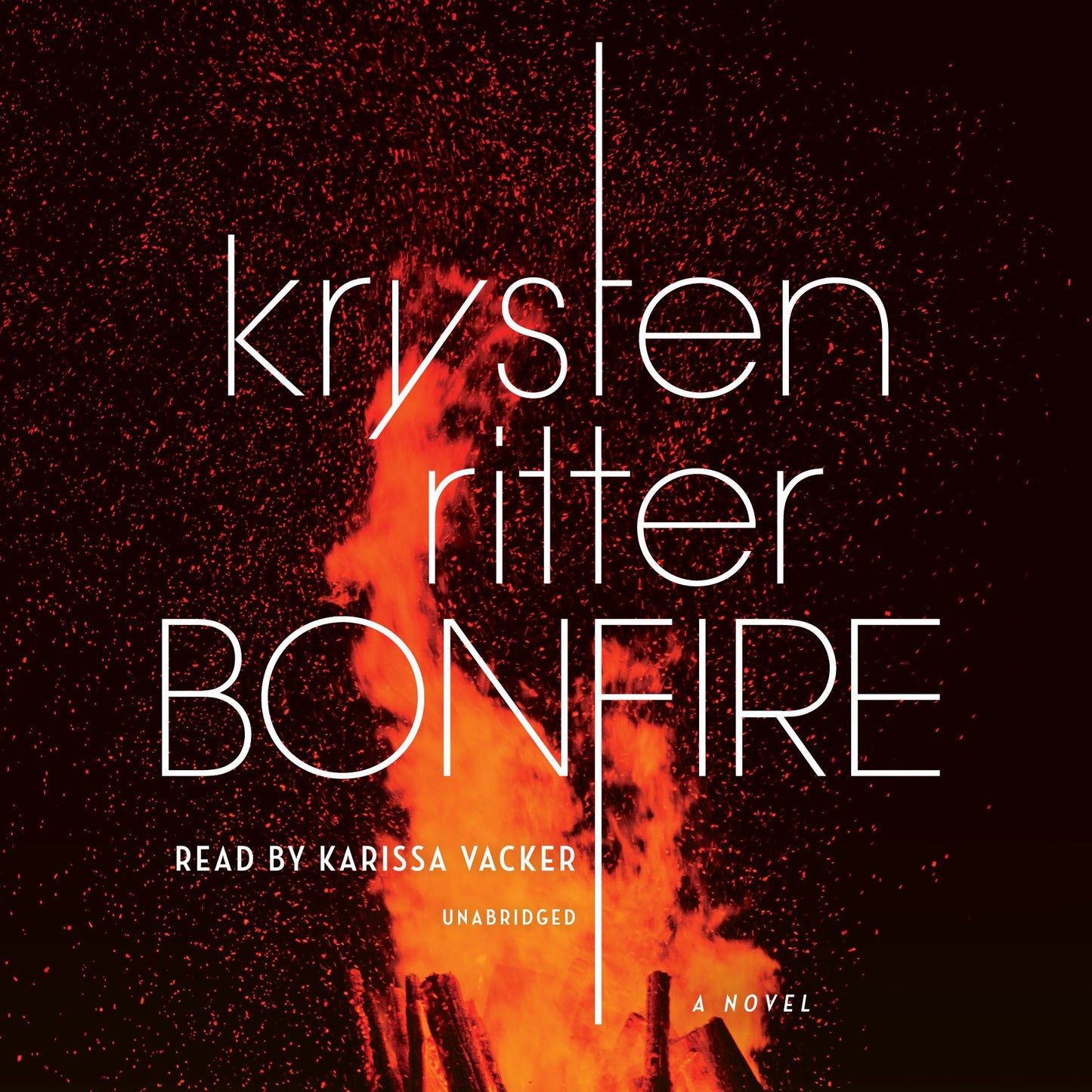 Bonfire: A Novel
