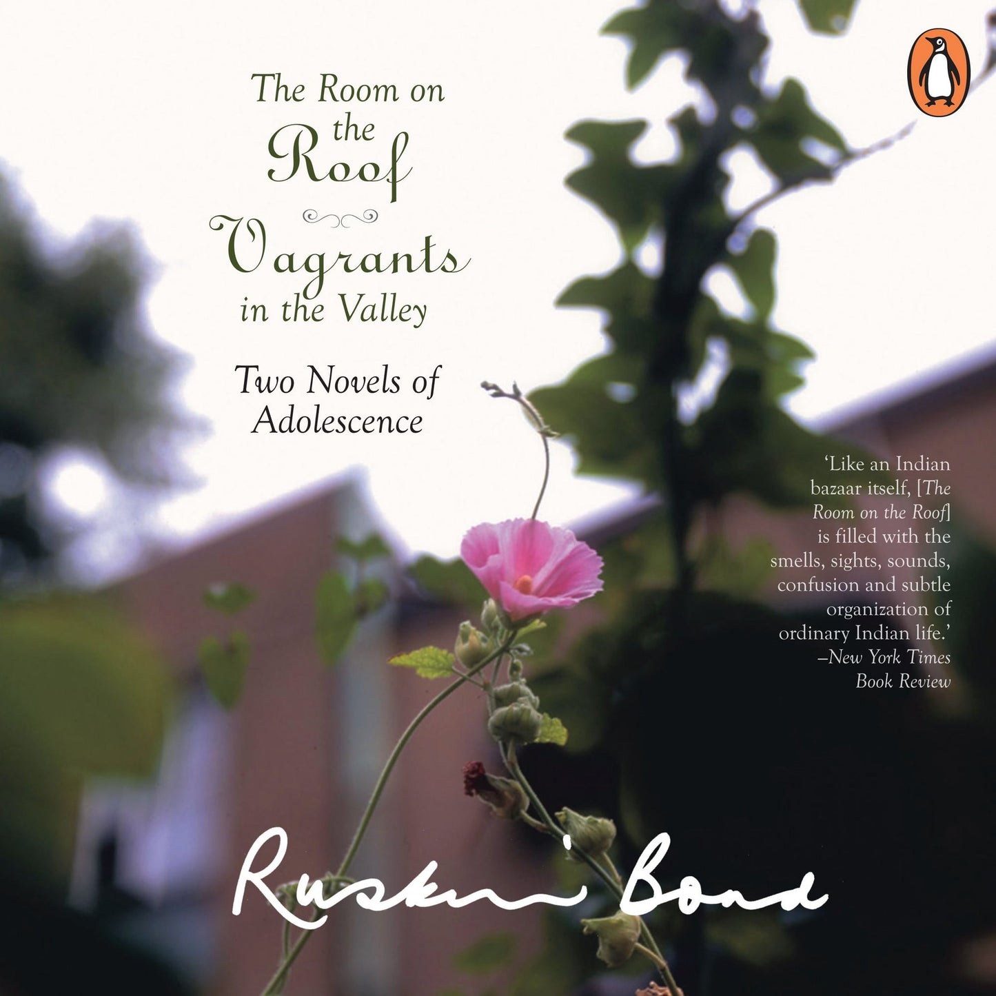 The Room On The Roof / Vagrants In The Valley: Two Novels of Adolescence