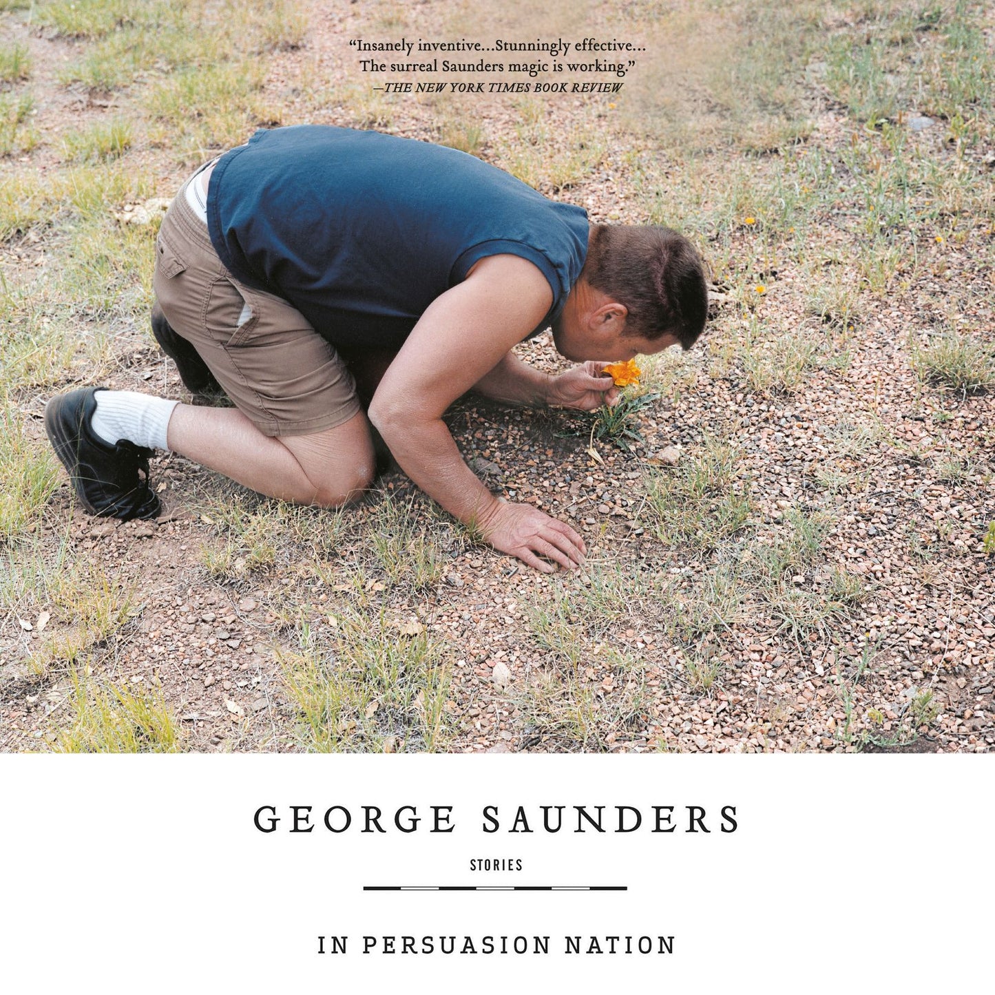 In Persuasion Nation: Stories