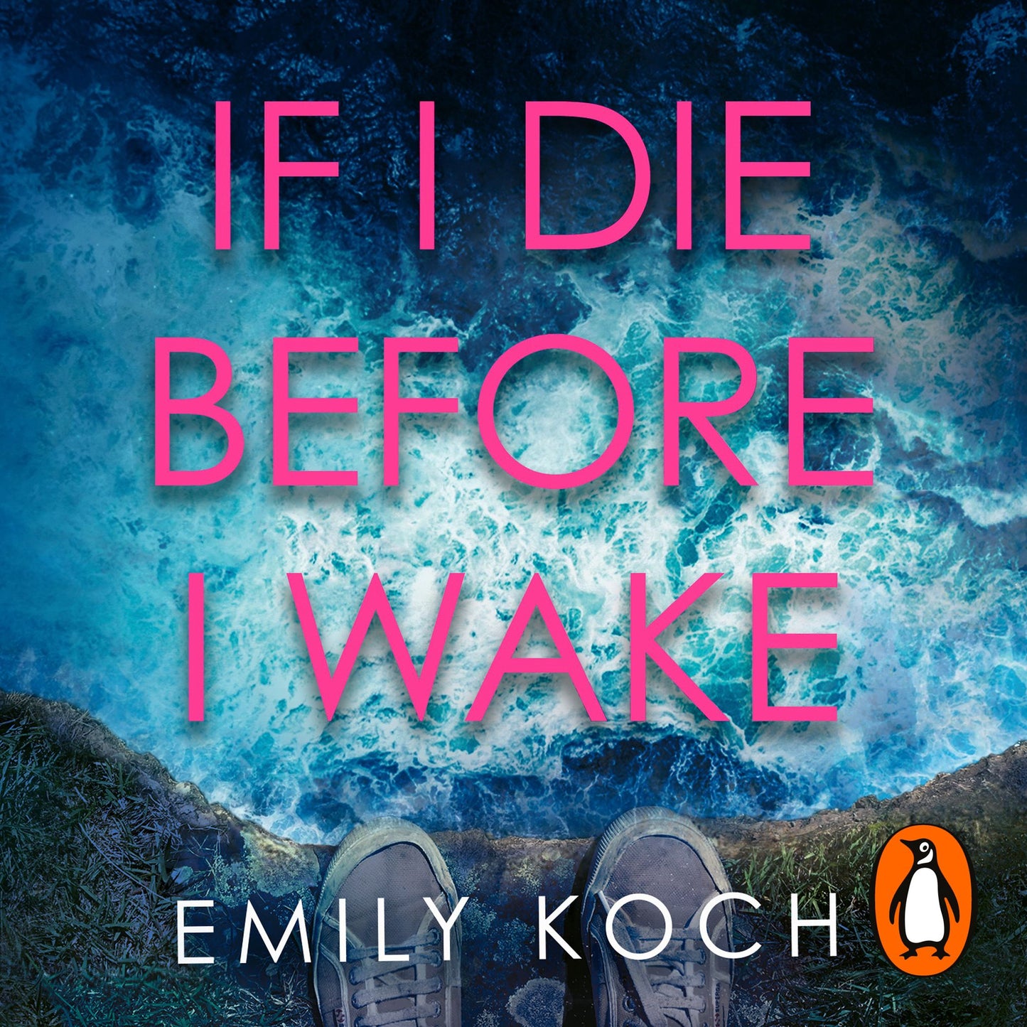 If I Die Before I Wake