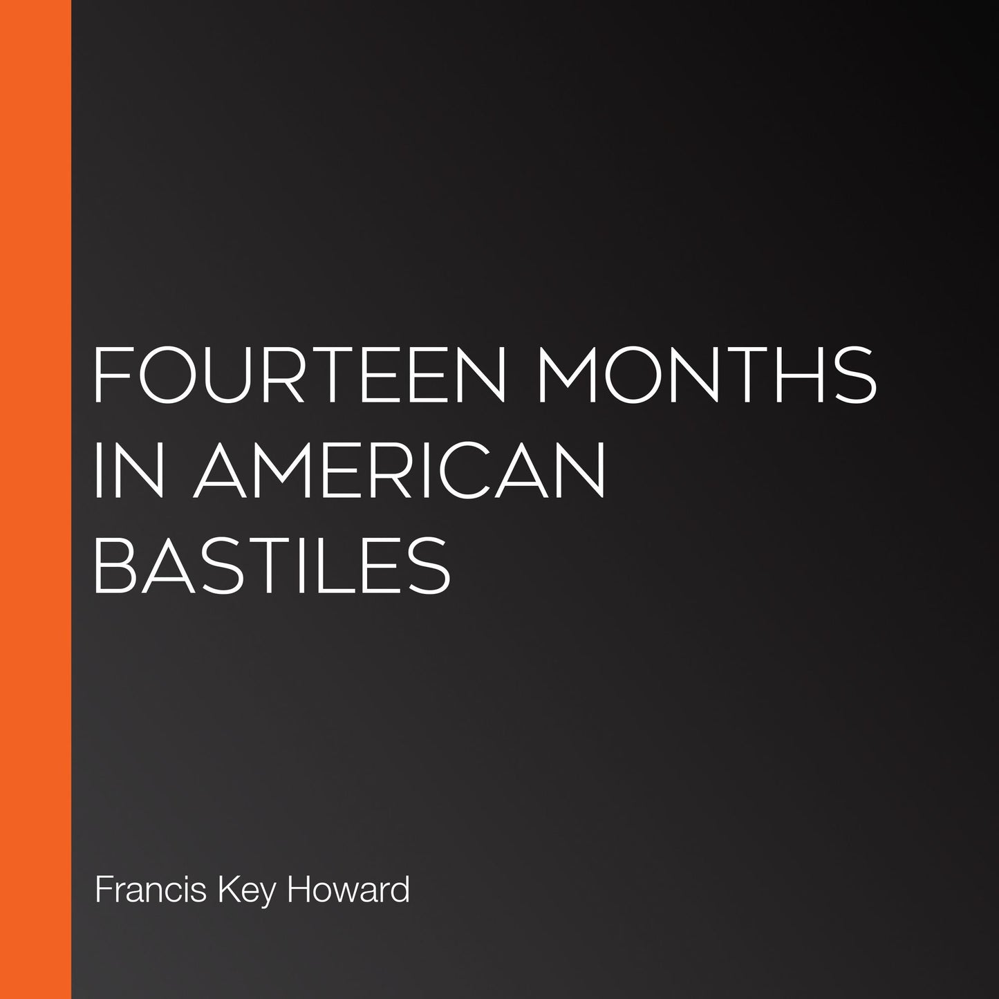 Fourteen Months in American Bastiles