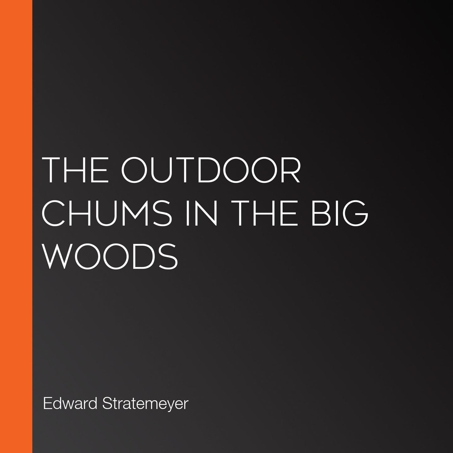 The Outdoor Chums in the Big Woods