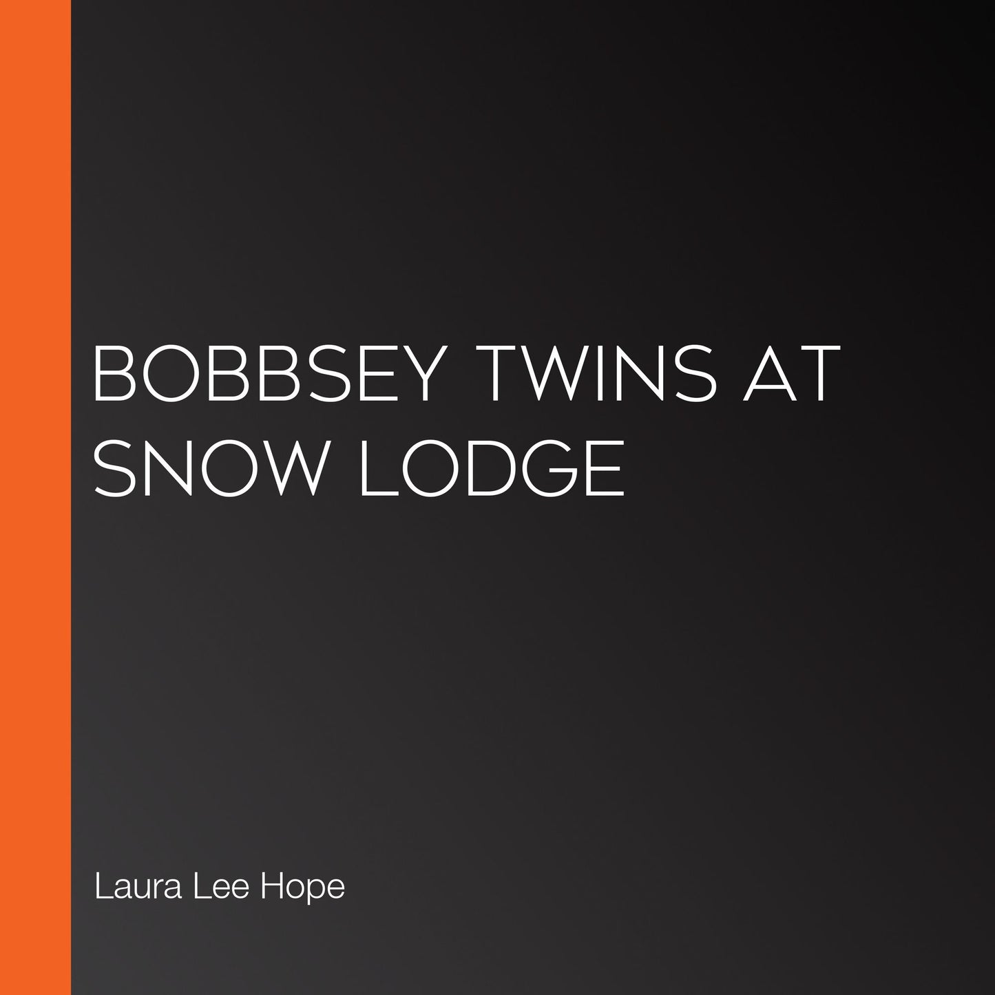 Bobbsey Twins at Snow Lodge