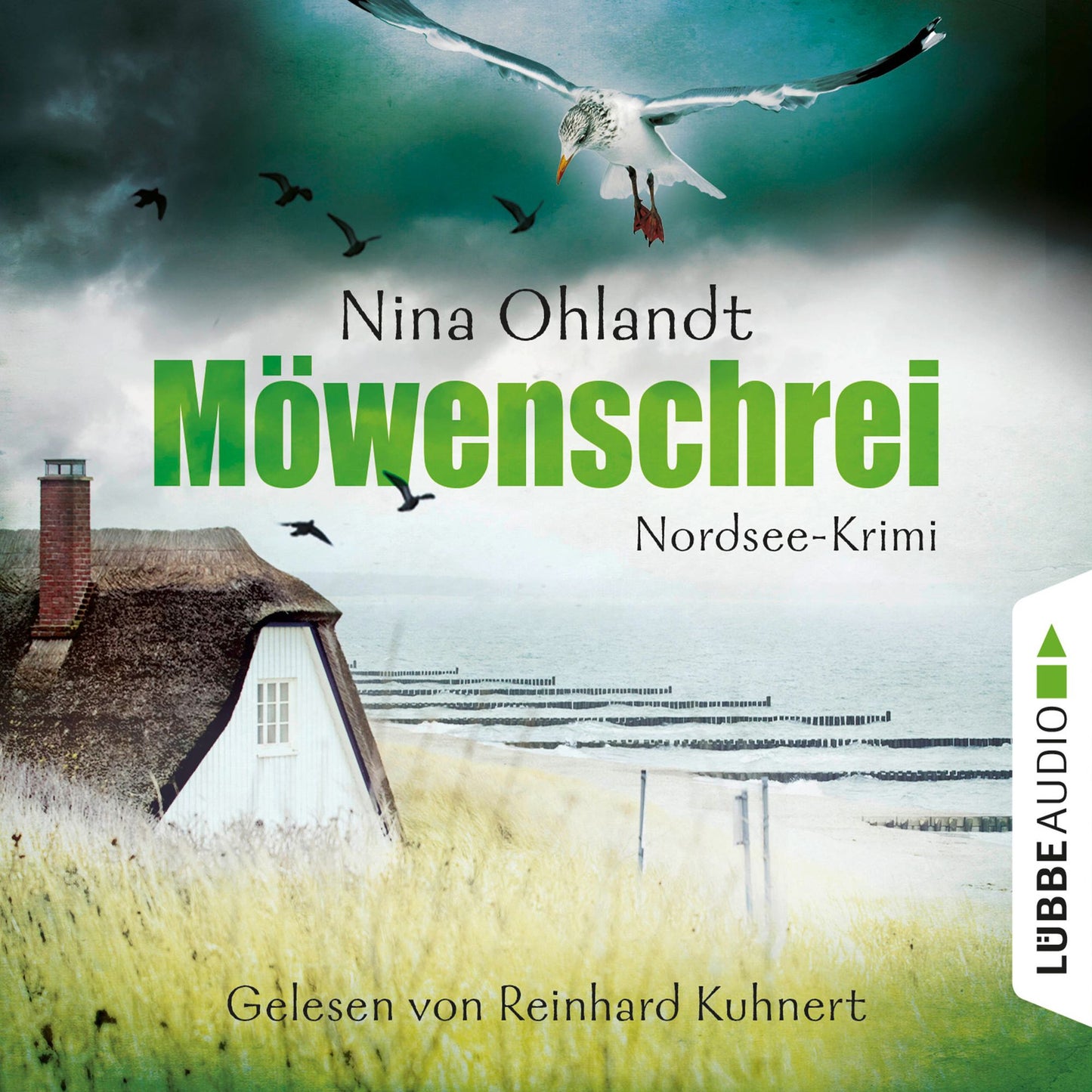 MÃ¶wenschrei - Hauptkommisar John Benthien 2