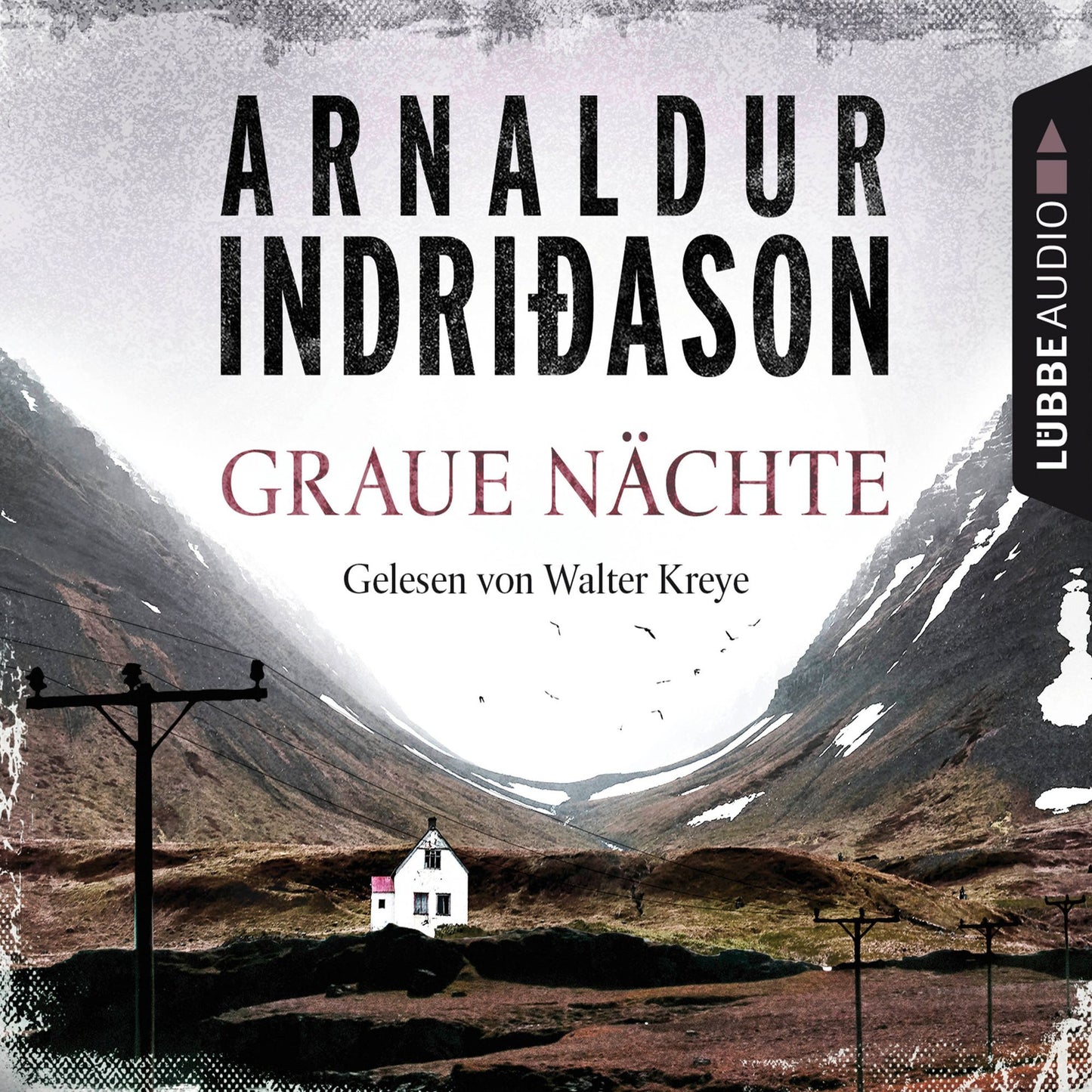 Graue NÃ¤chte - Island-Krimi - Flovent-Thorson-Krimis 2 (Abridged)