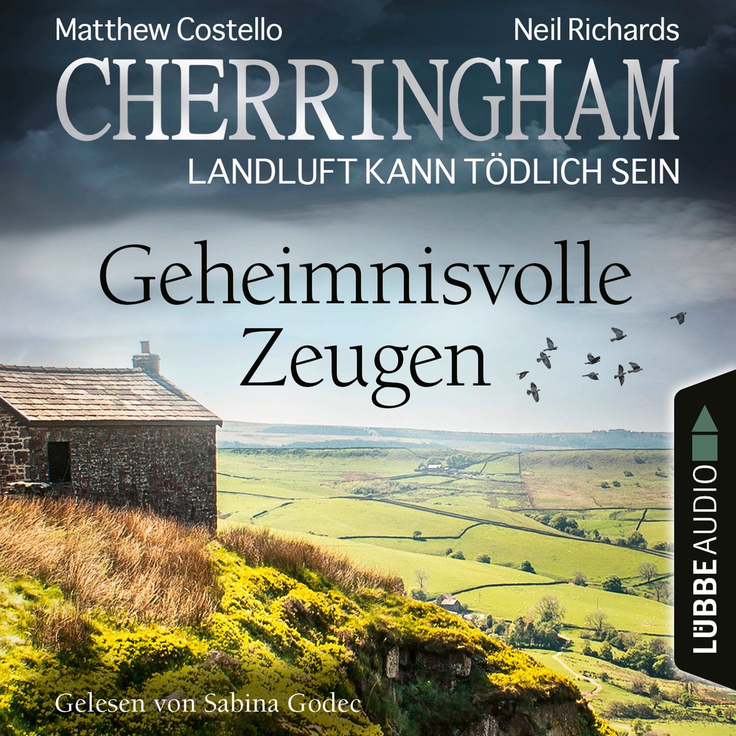 Cherringham - Landluft kann tödlich sein, Folge 33: Geheimnisvolle Zeugen