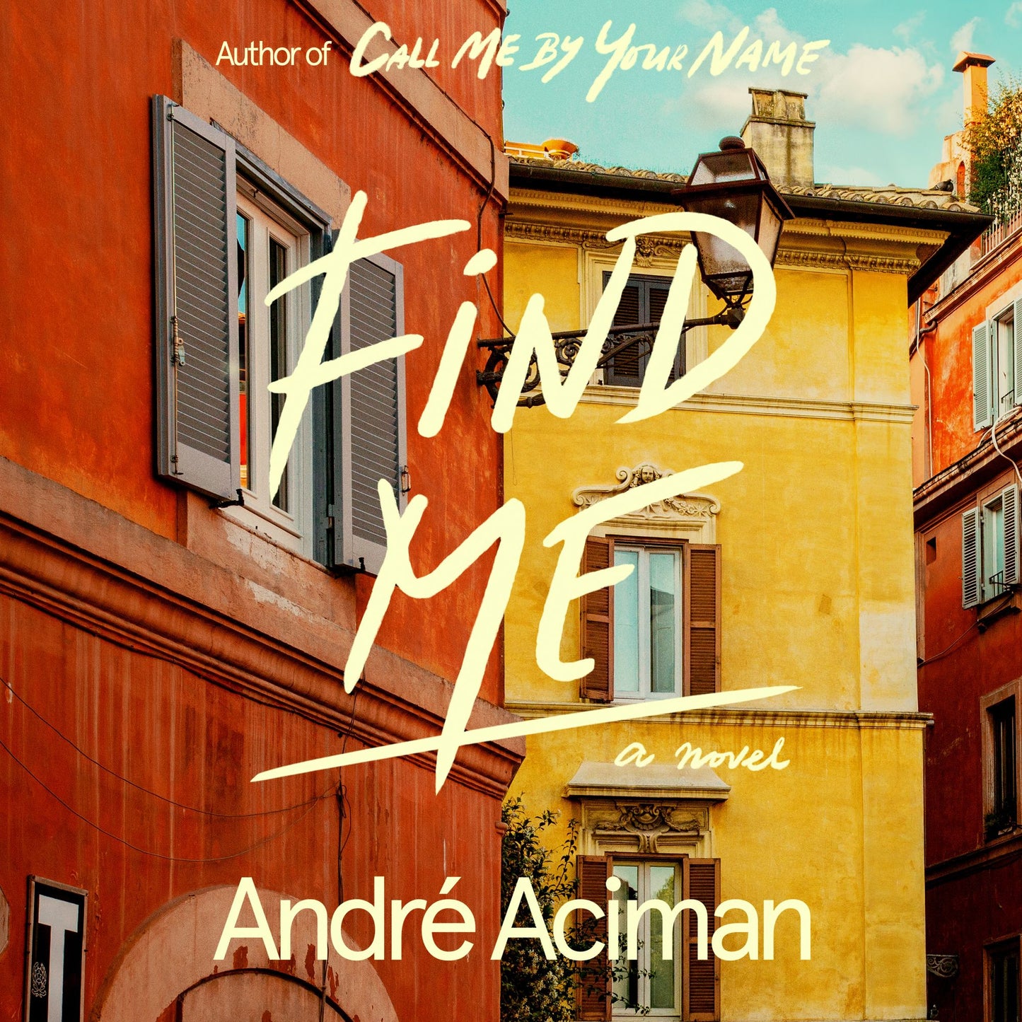 Find Me : A Novel