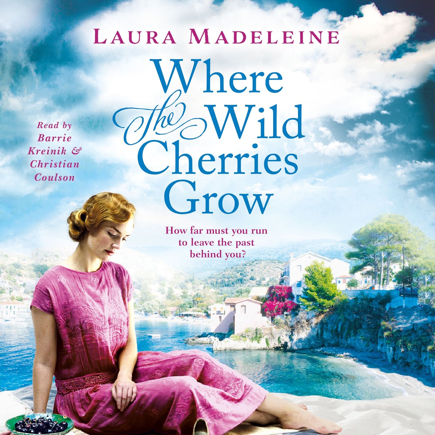 Where the Wild Cherries Grow: A Novel of the South of France
