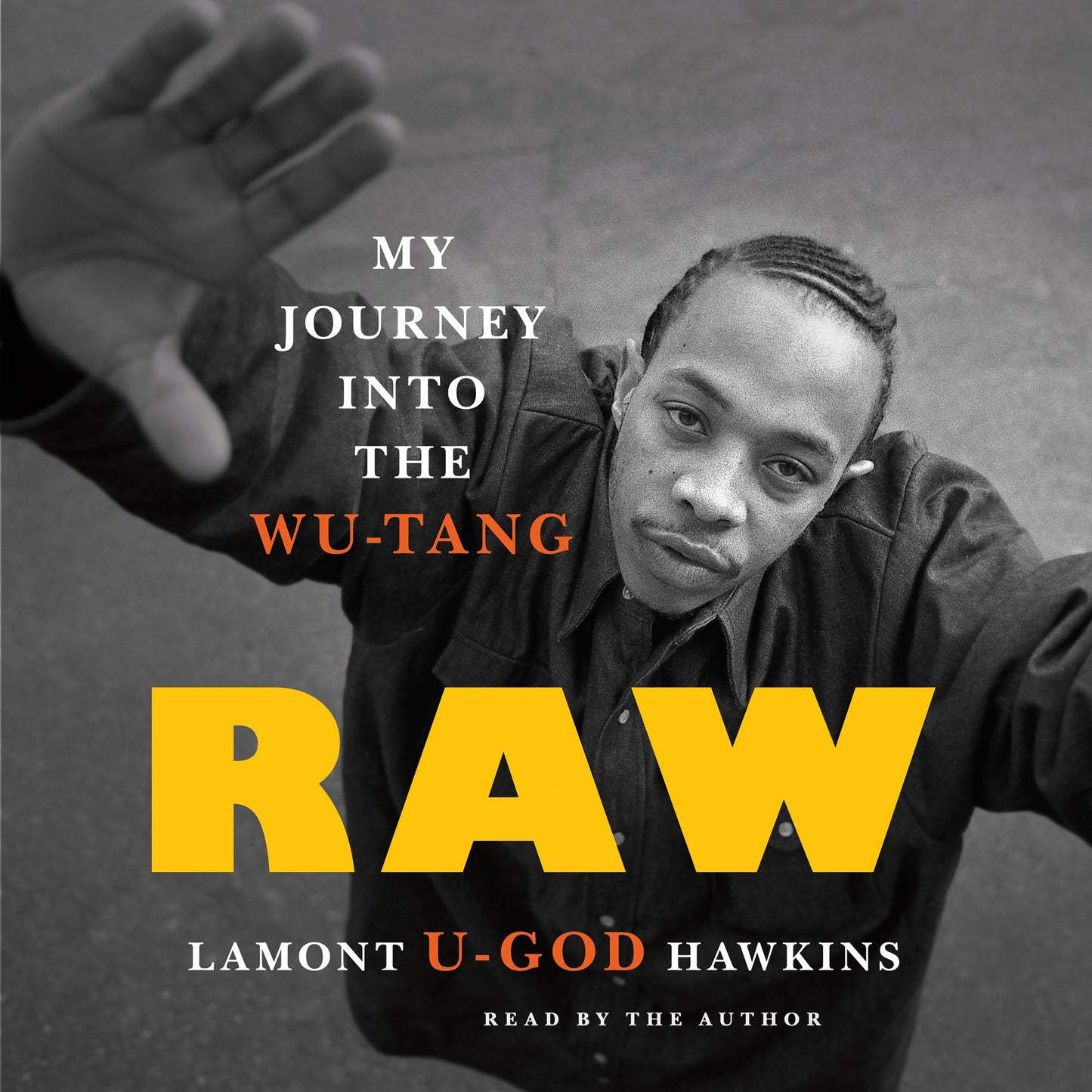 Raw : My Journey into the Wu-Tang
