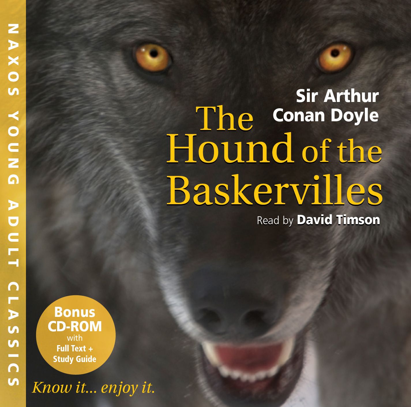 The Hound of the Baskervilles (Abridged)