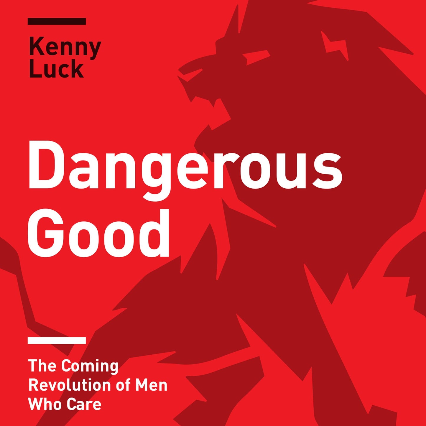 Dangerous Good : The Coming Revolution of Men Who Care