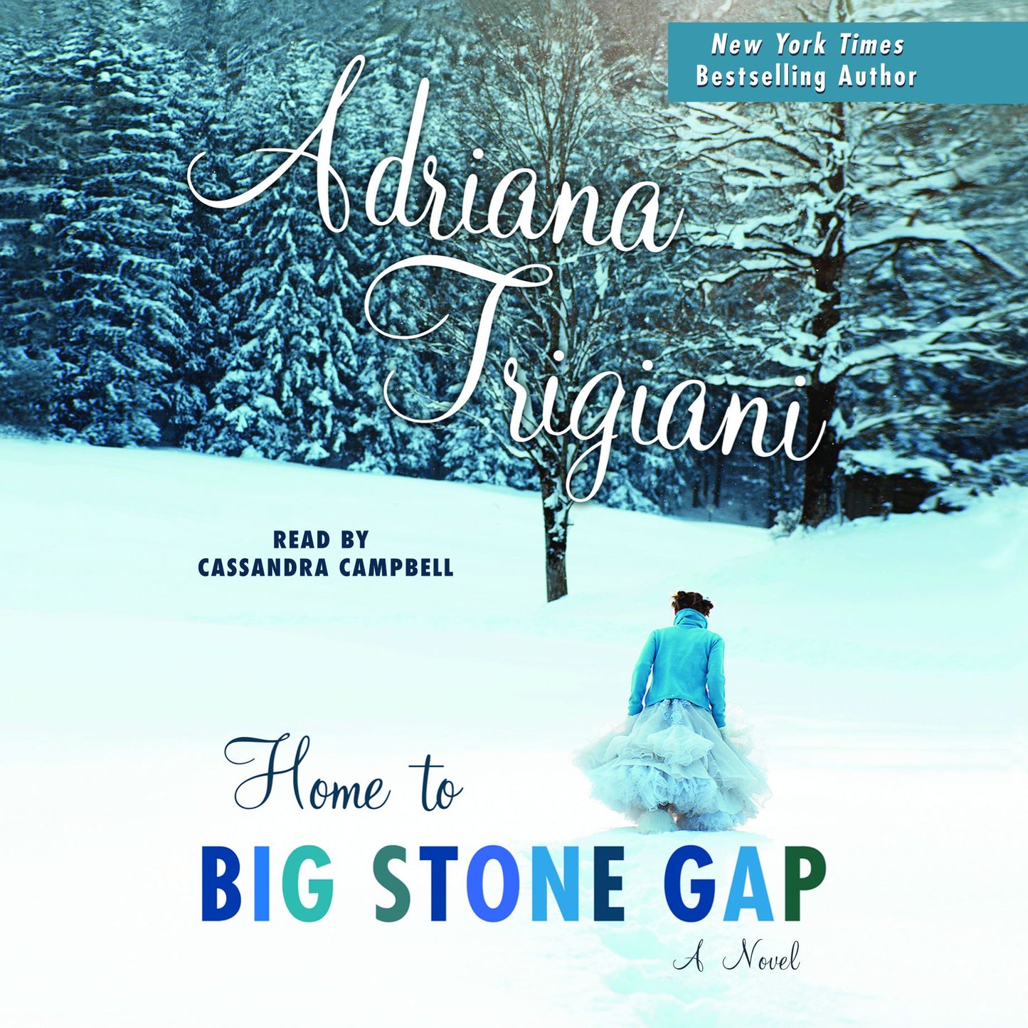 Home to Big Stone Gap: A Novel