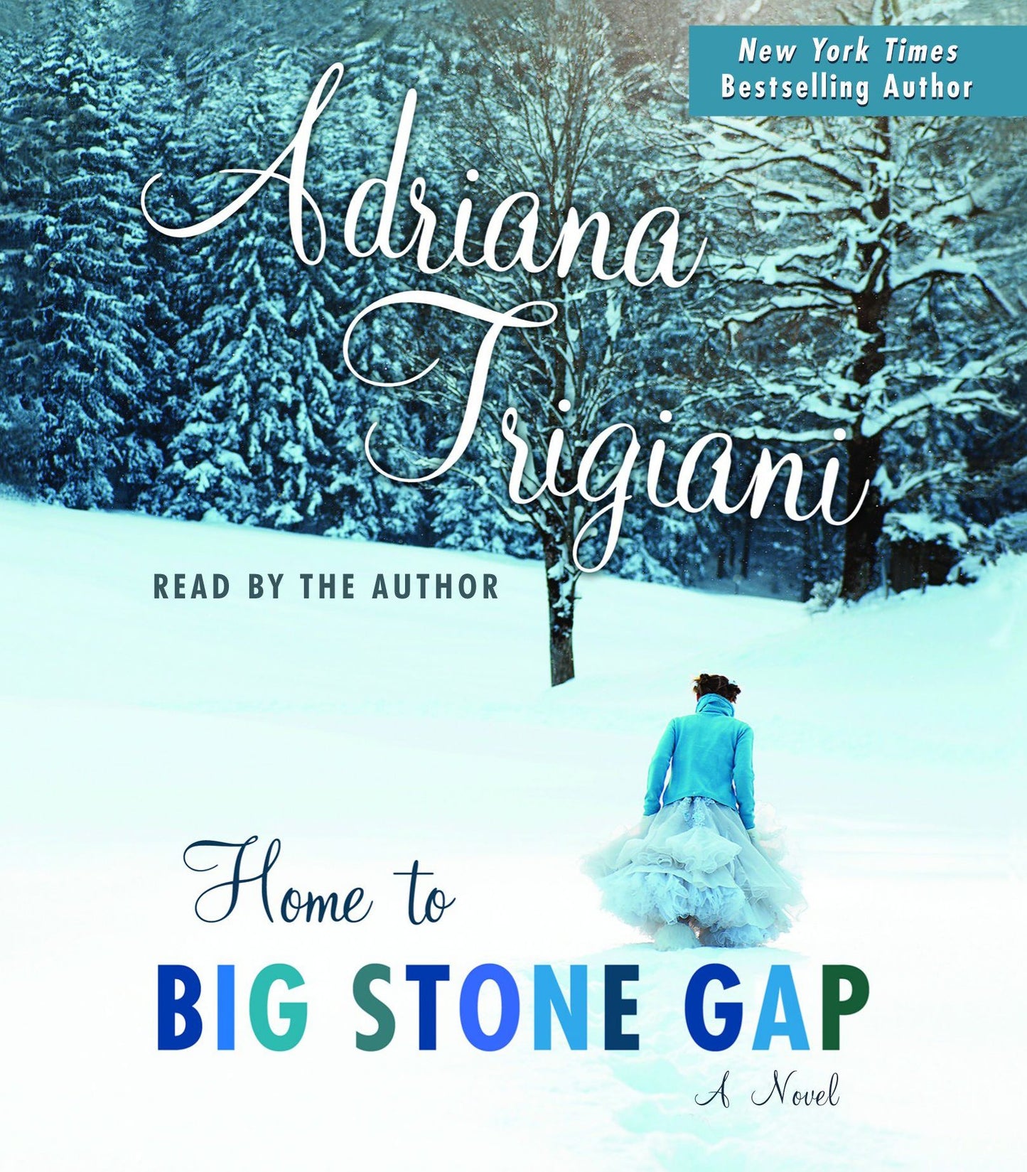 Home to Big Stone Gap: A Novel