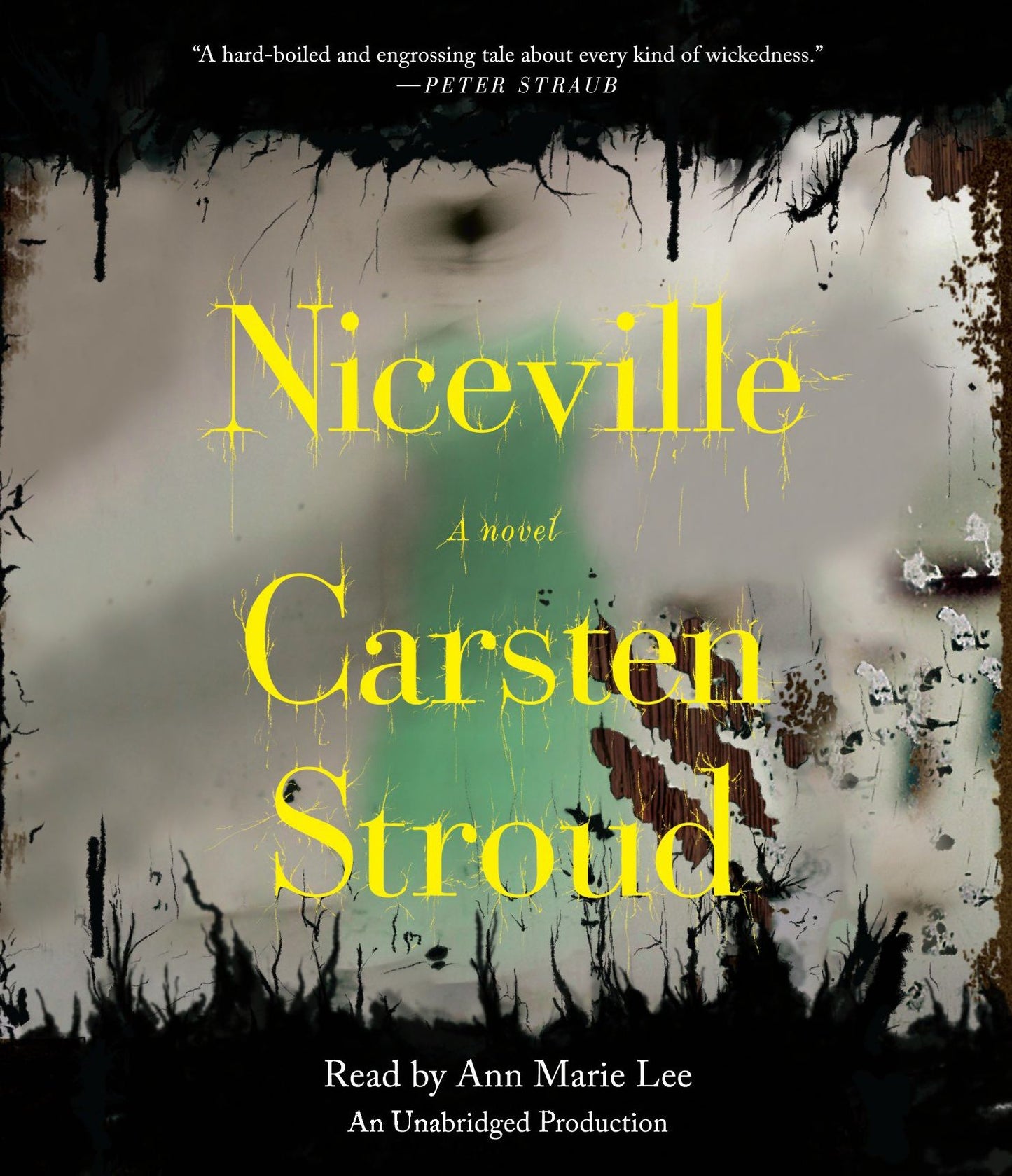 Niceville: A Novel