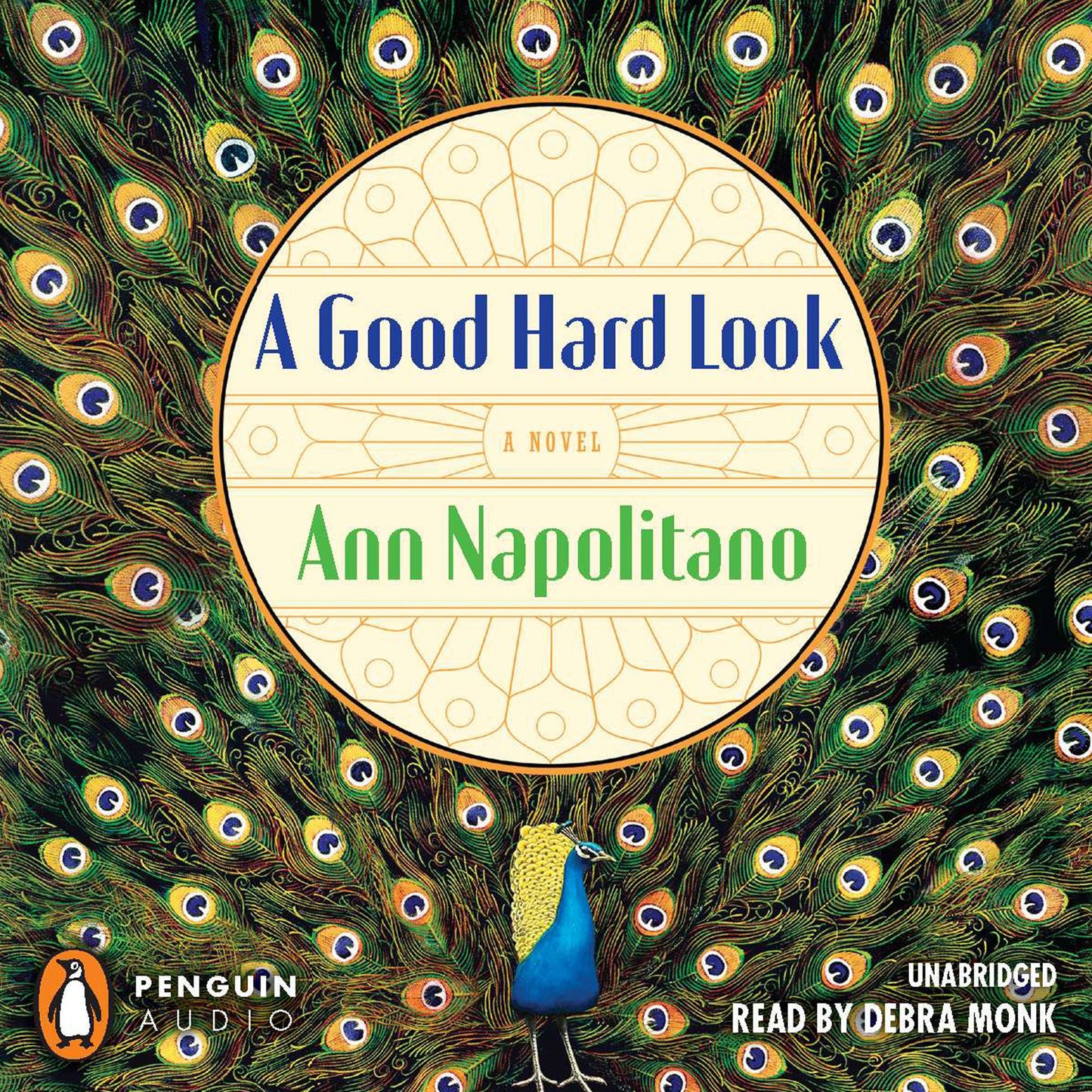 A Good Hard Look: A Novel