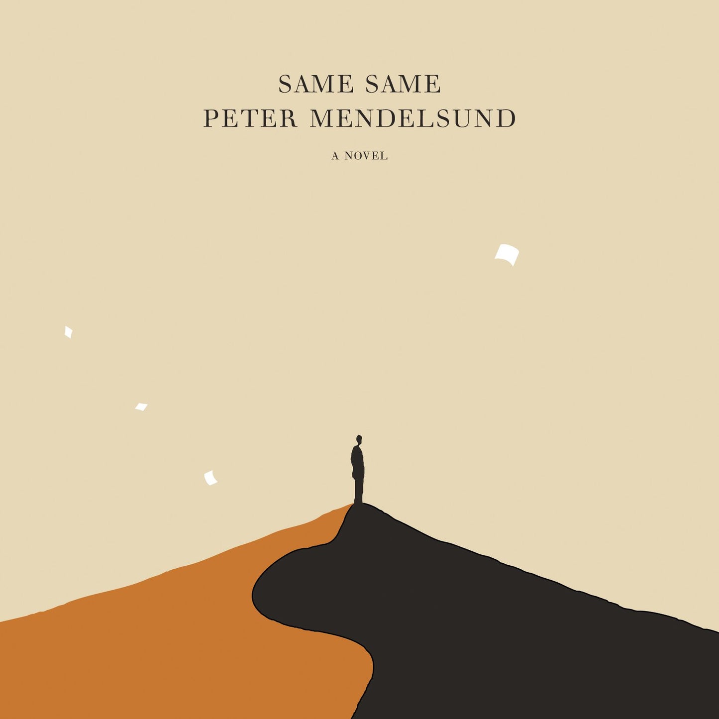 Same Same: A Novel