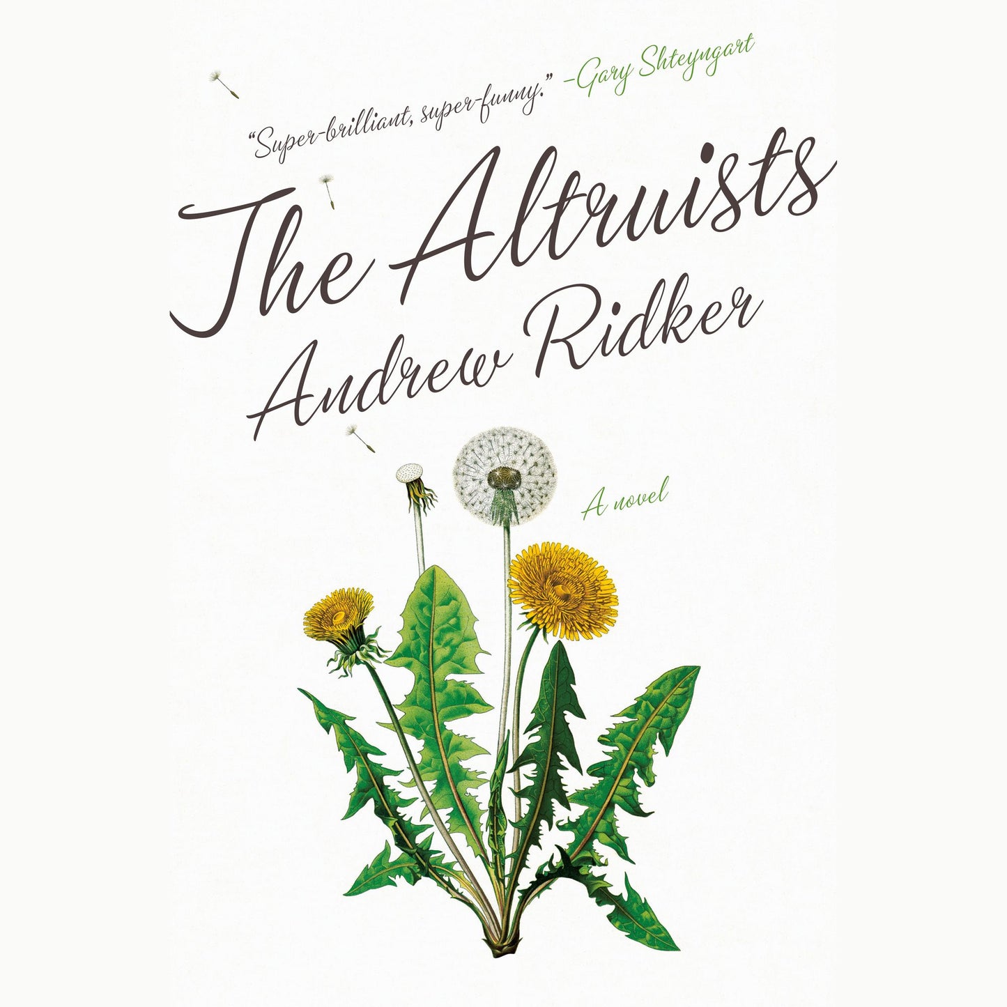The Altruists: A Novel