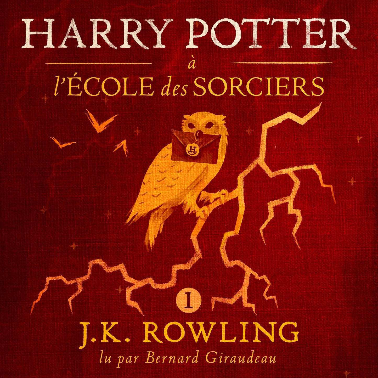 Harry Potter à L'école des Sorciers