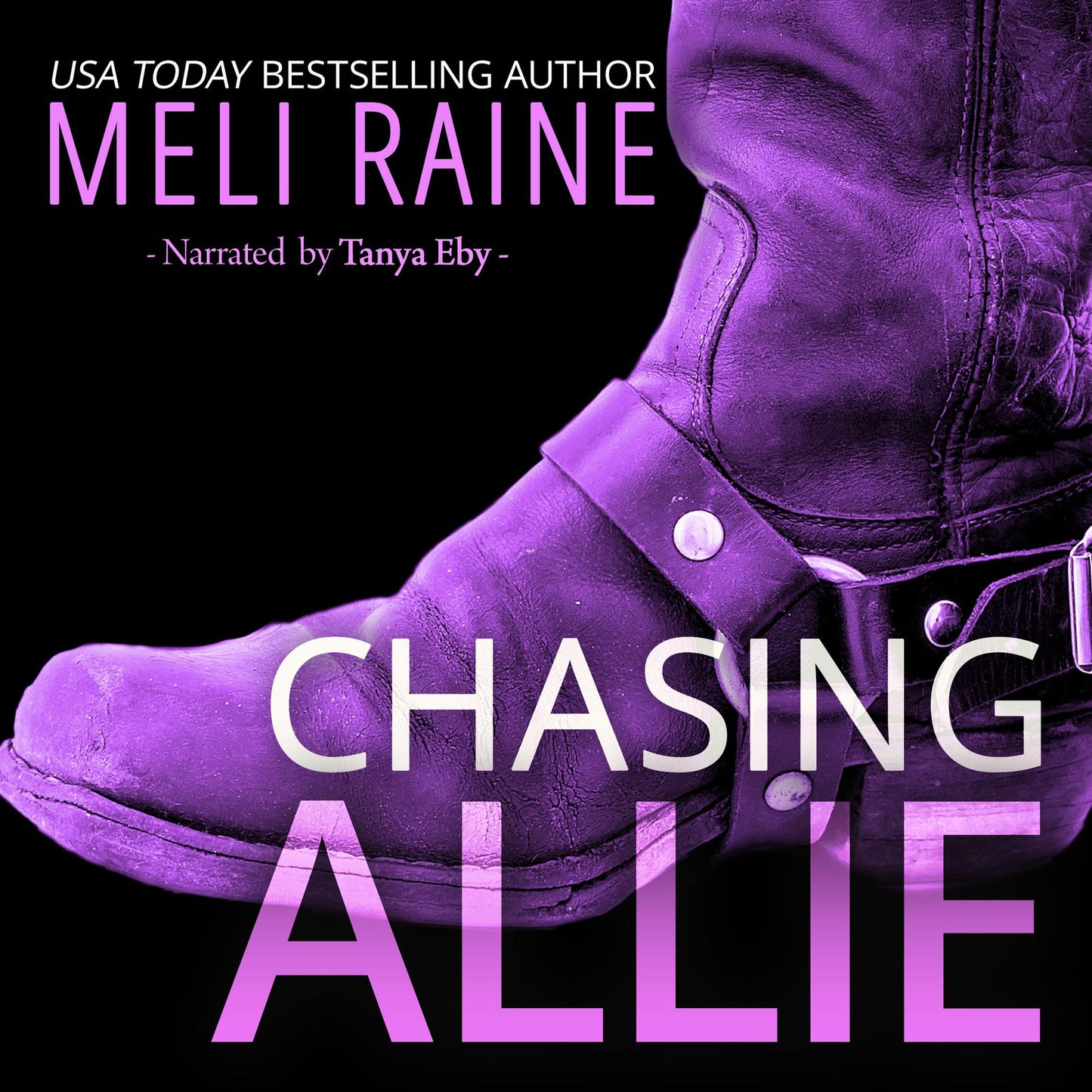 Chasing Allie: Small Town Romantic Suspense Deep State Undercover Thriller