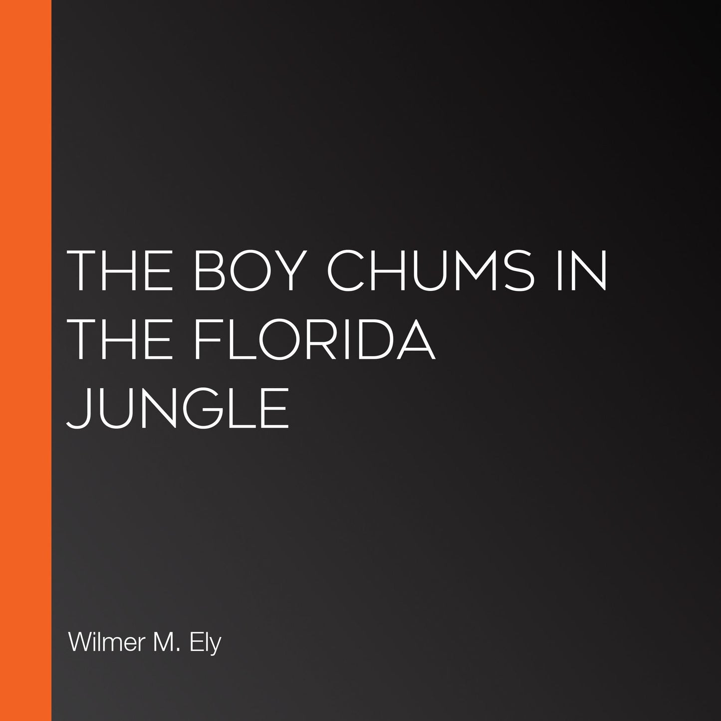 The Boy Chums in the Florida Jungle