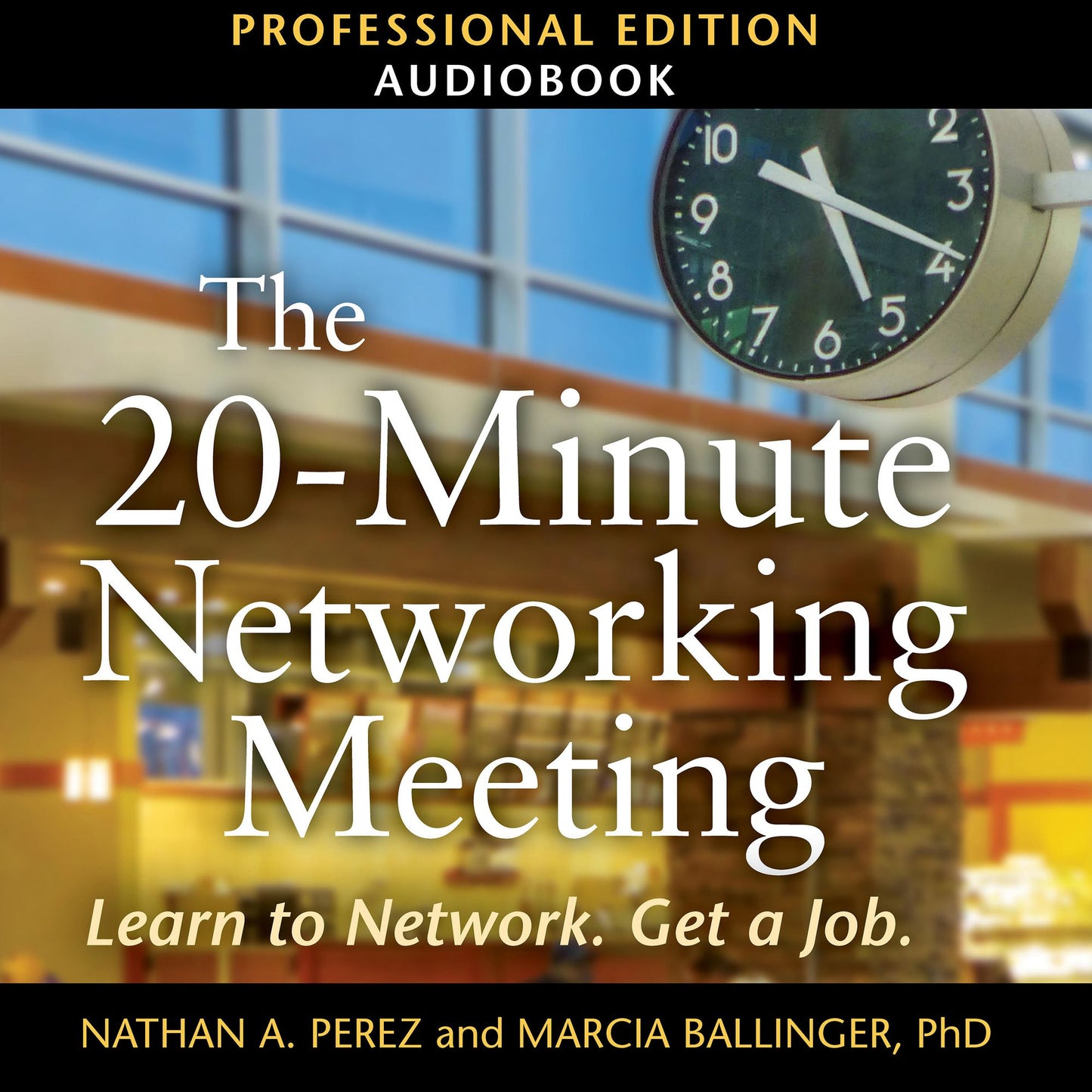 20-Minute Networking Meeting, The - Professional Edition