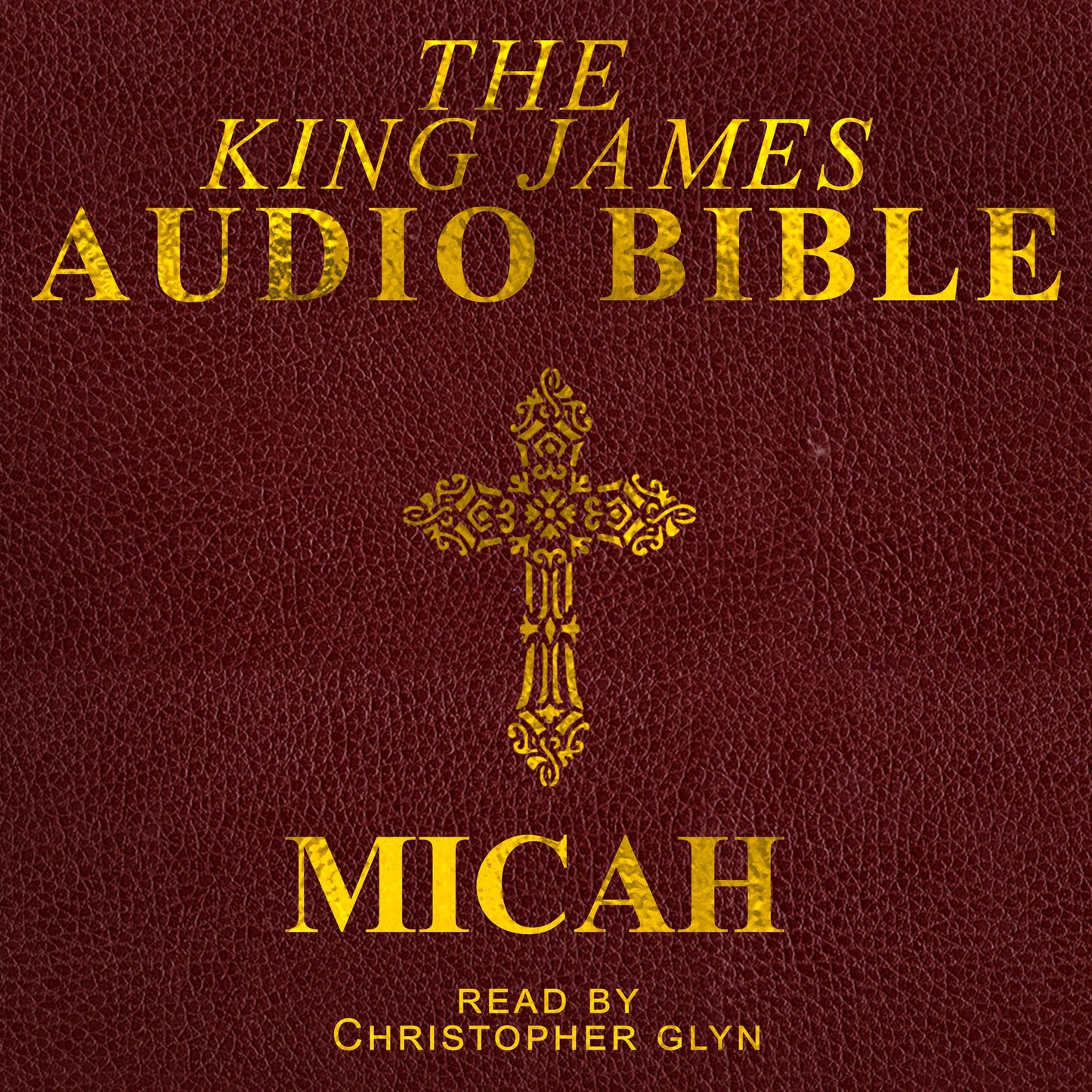 Micah: The Old Testament