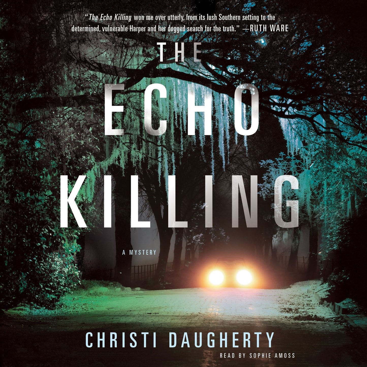 The Echo Killing: A Mystery