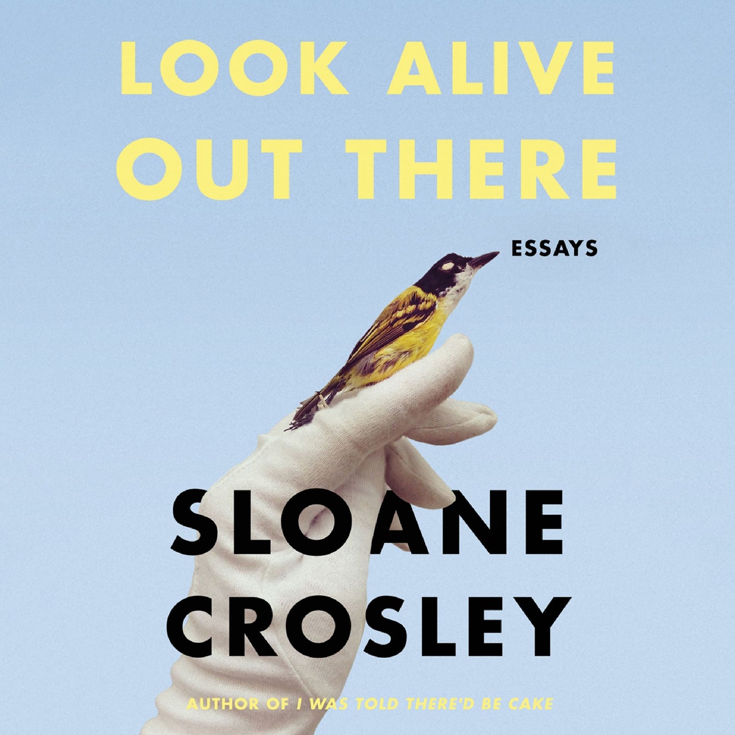 Look Alive Out There: Essays