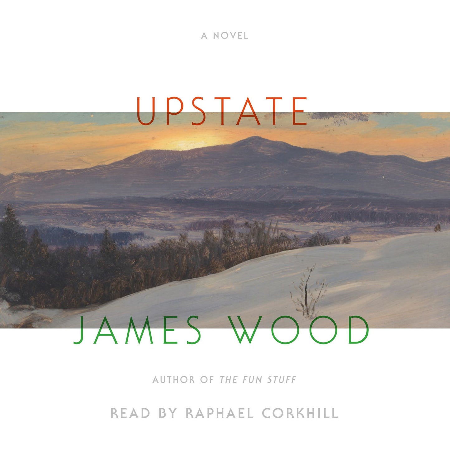 Upstate: A Novel