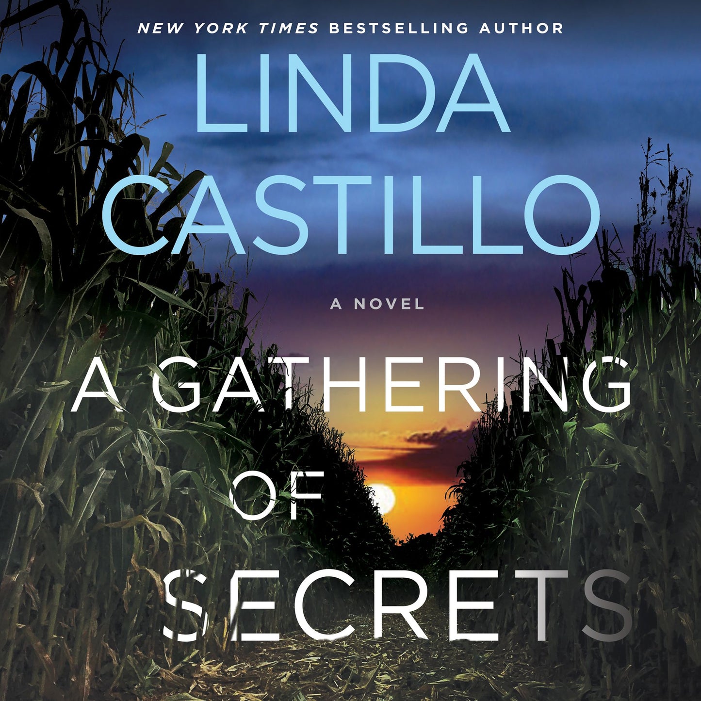 A Gathering of Secrets: A Novel