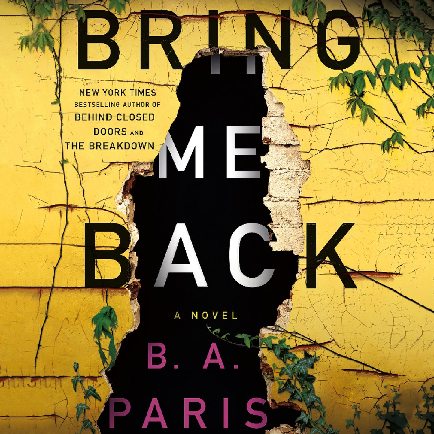Bring Me Back: A Novel