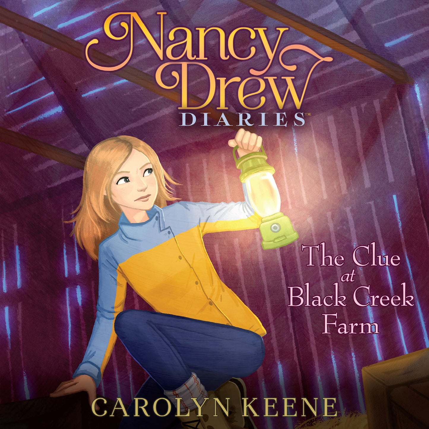 The Clue at Black Creek Farm : Nancy Drew Diaries, Book 9