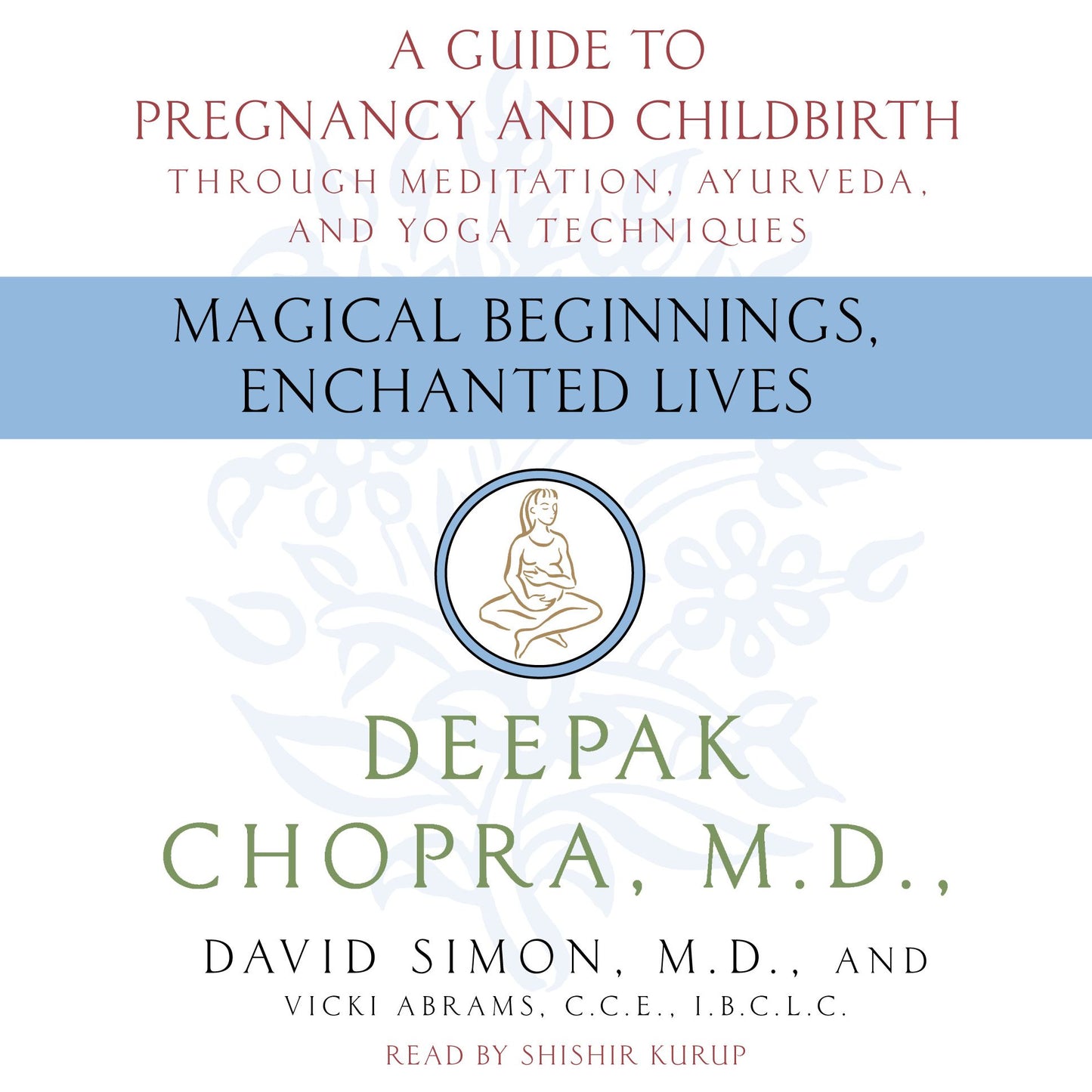 Magical Beginnings, Enchanted Lives: A Guide to Pregnancy and Childbirth through Meditation, Ayurveda, and Yoga Techniques
