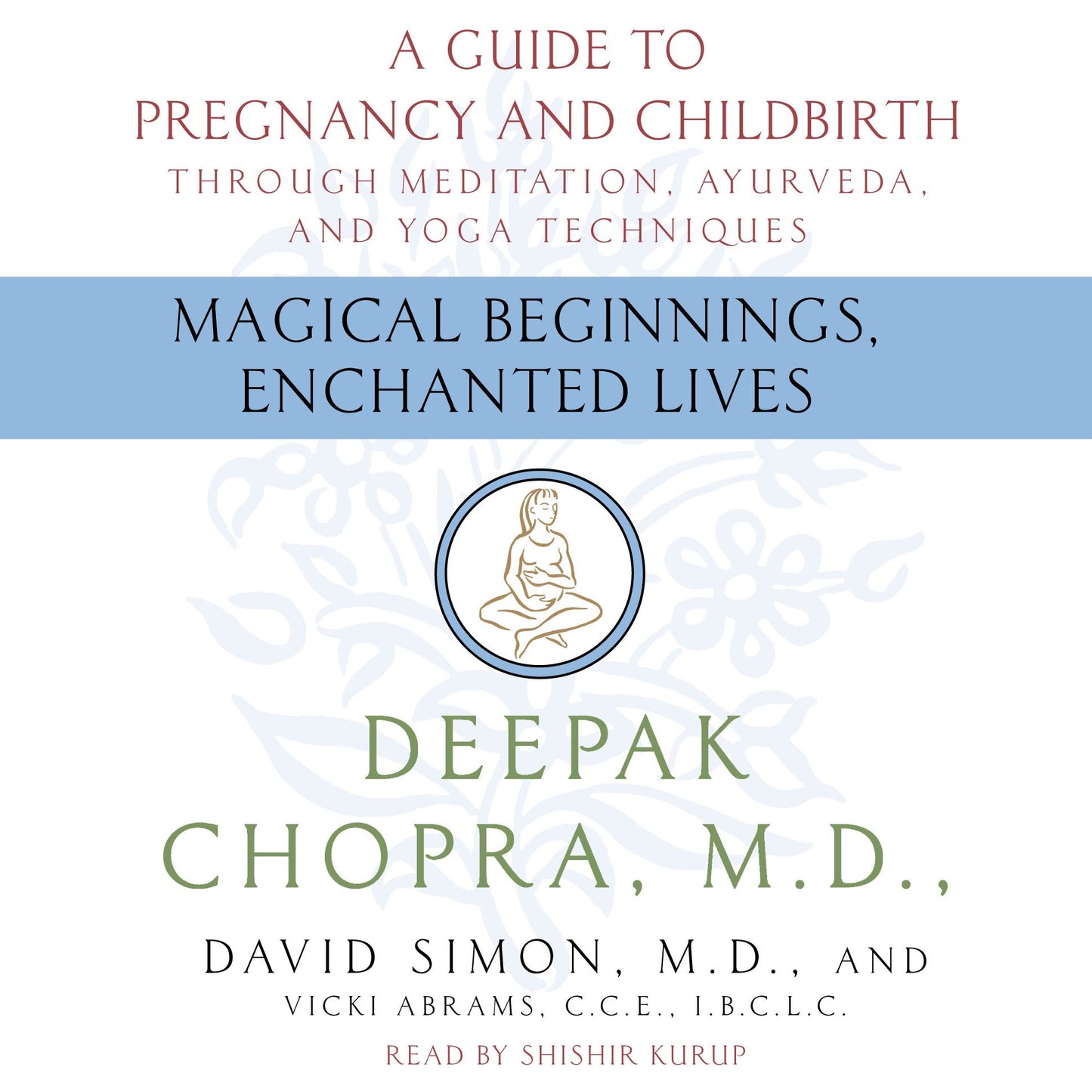 Magical Beginnings, Enchanted Lives: A Guide to Pregnancy and Childbirth through Meditation, Ayurveda, and Yoga Techniques