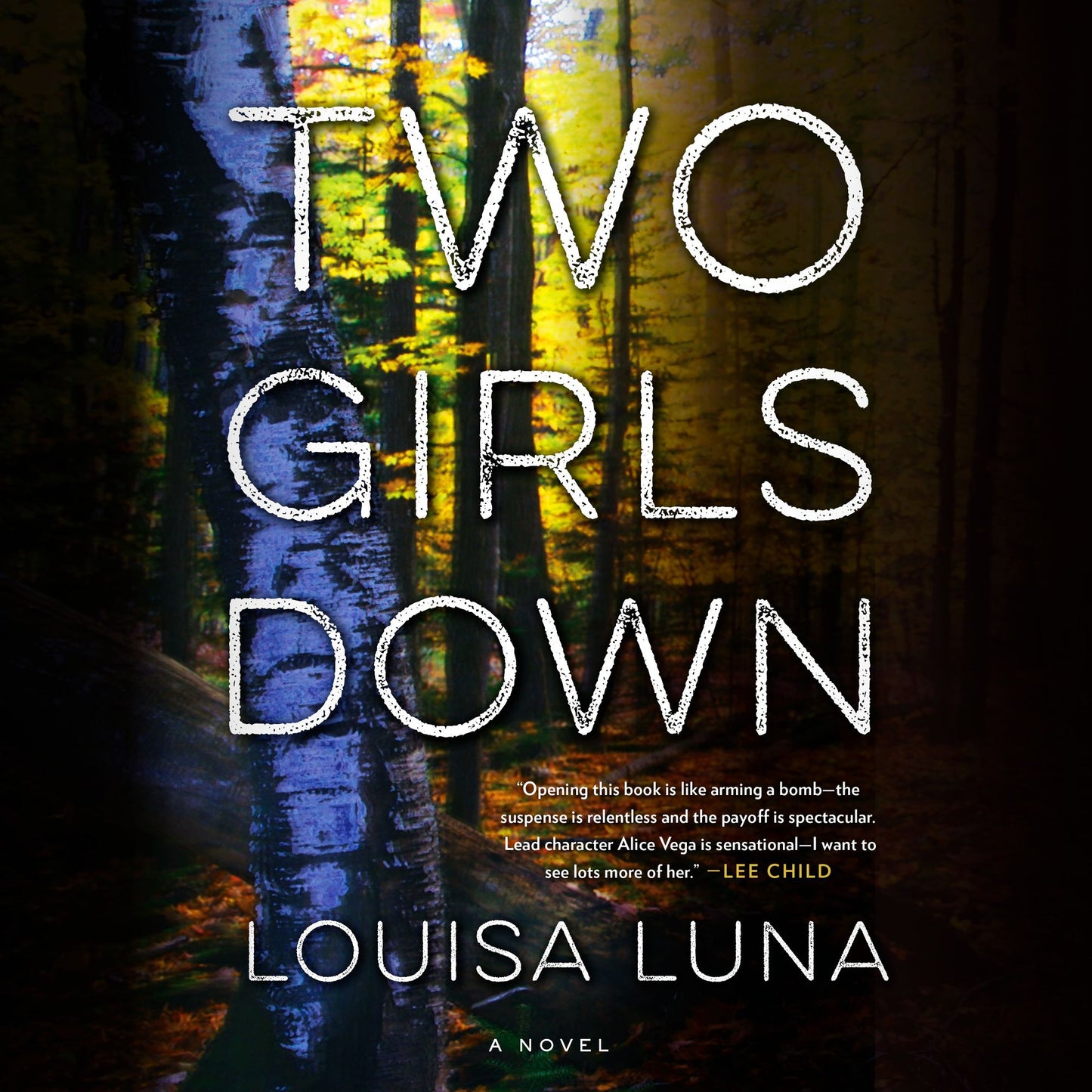 Two Girls Down: A Novel