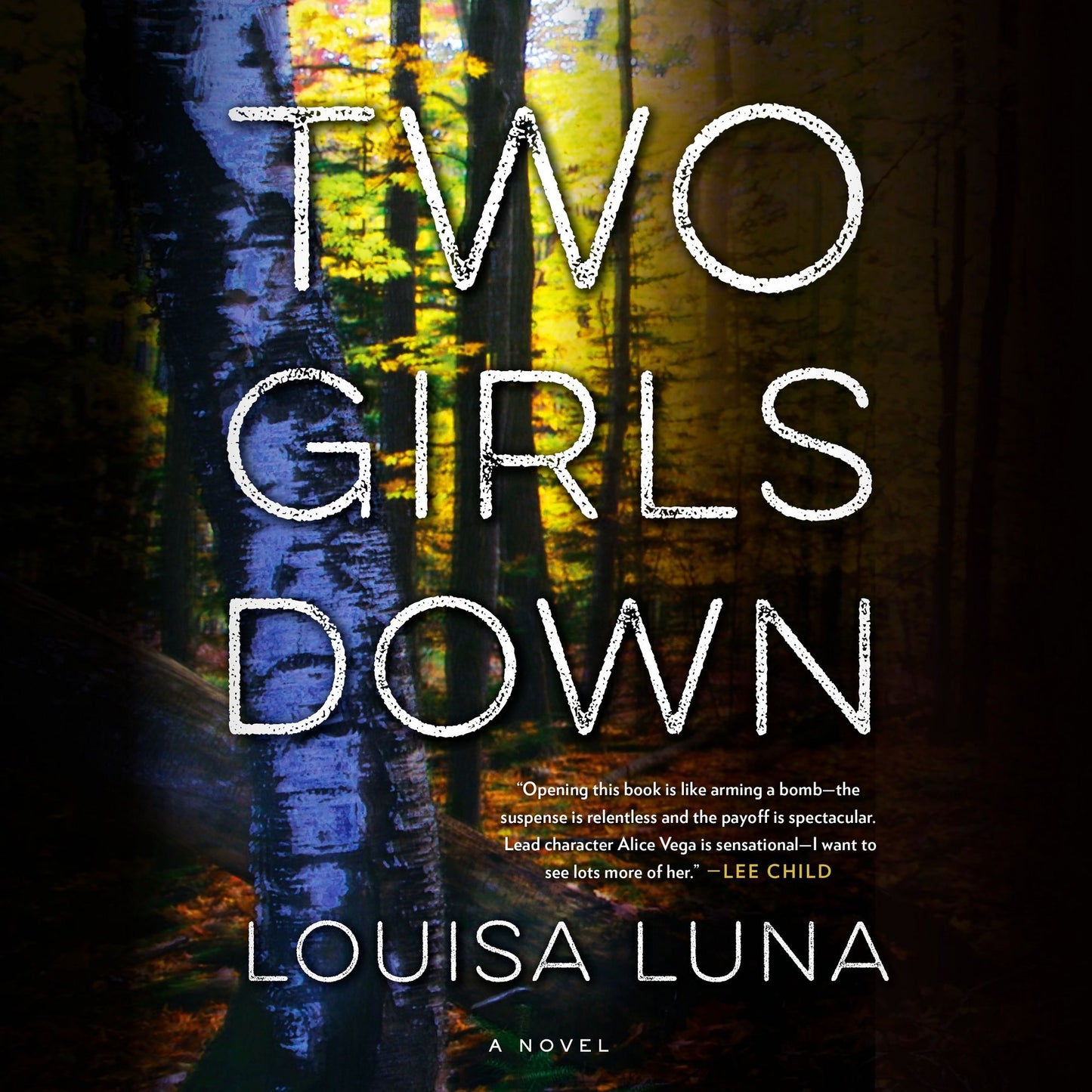 Two Girls Down: A Novel