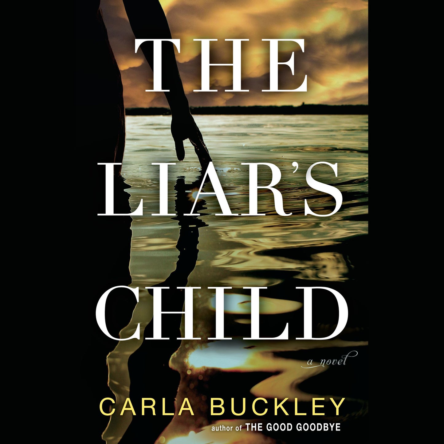The Liar's Child: A Novel