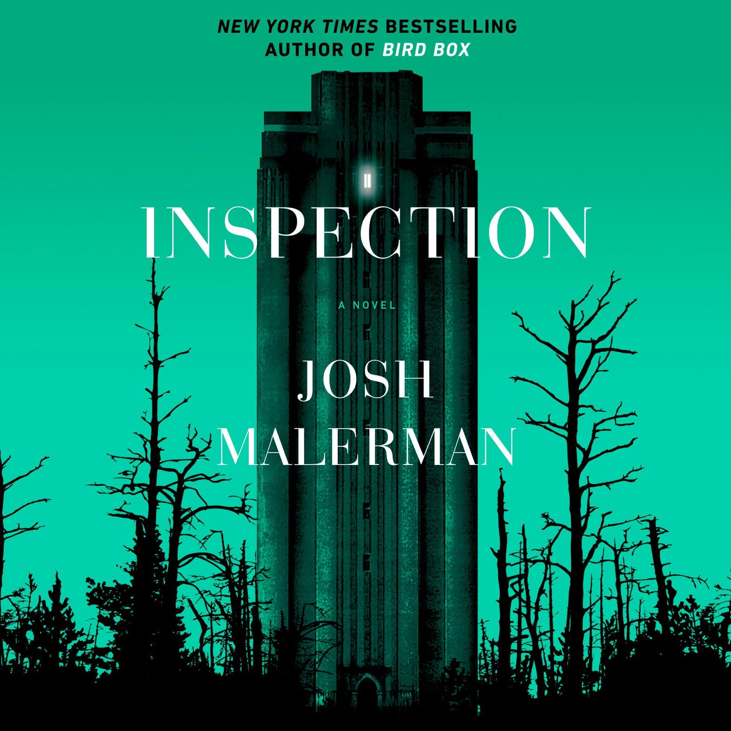 Inspection: A Novel