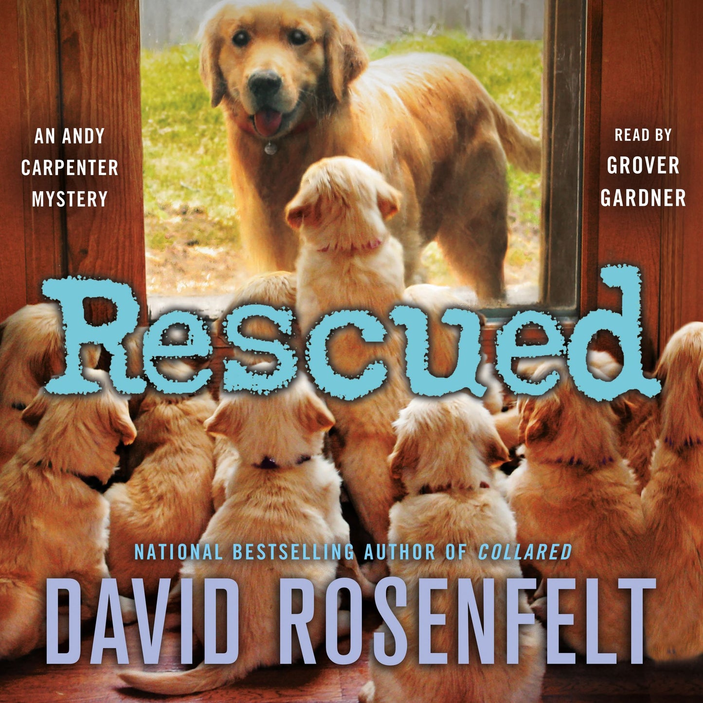 Rescued: An Andy Carpenter Mystery
