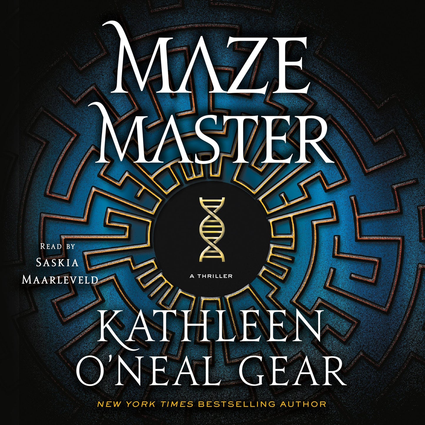 Maze Master: A Thriller