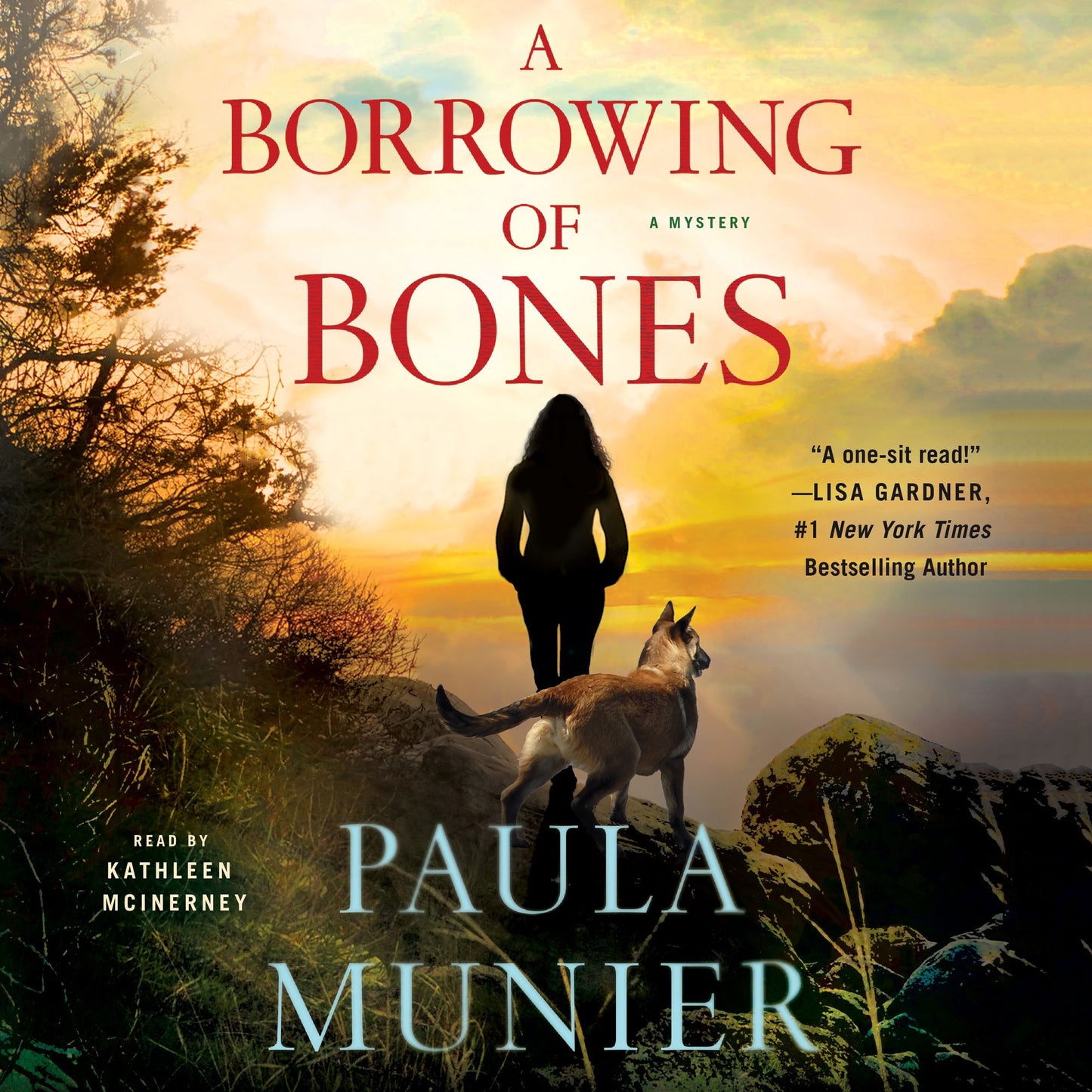 A Borrowing of Bones: A Mercy Carr Mystery