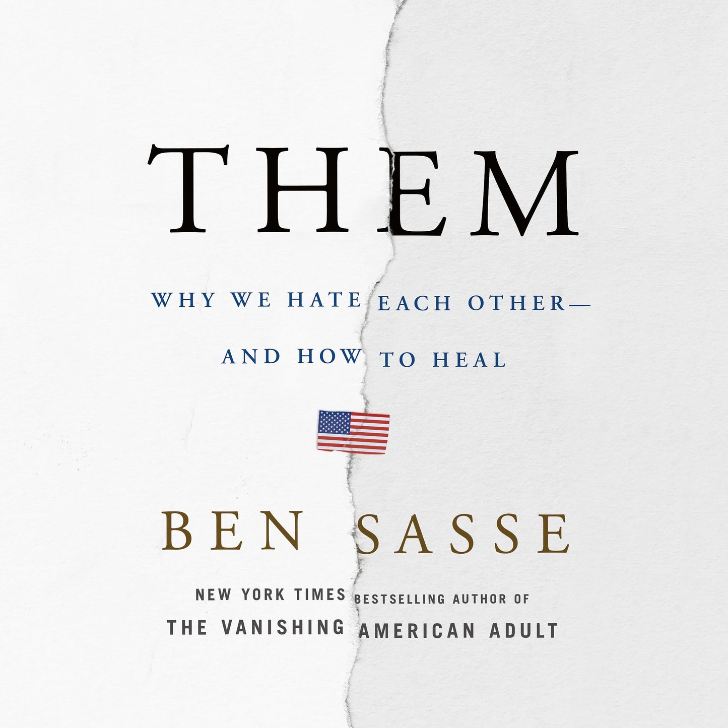 Them: Why We Hate Each Other-and How to Heal