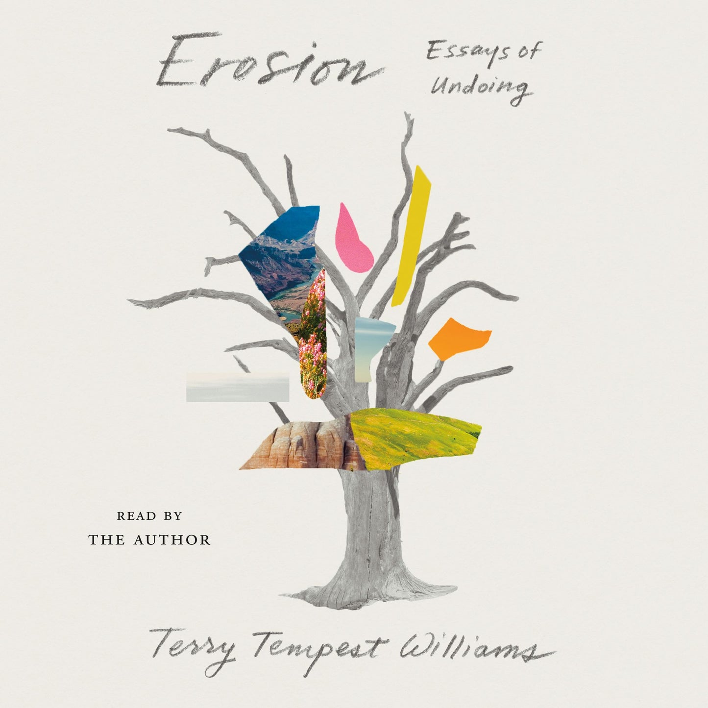 Erosion : Essays of Undoing