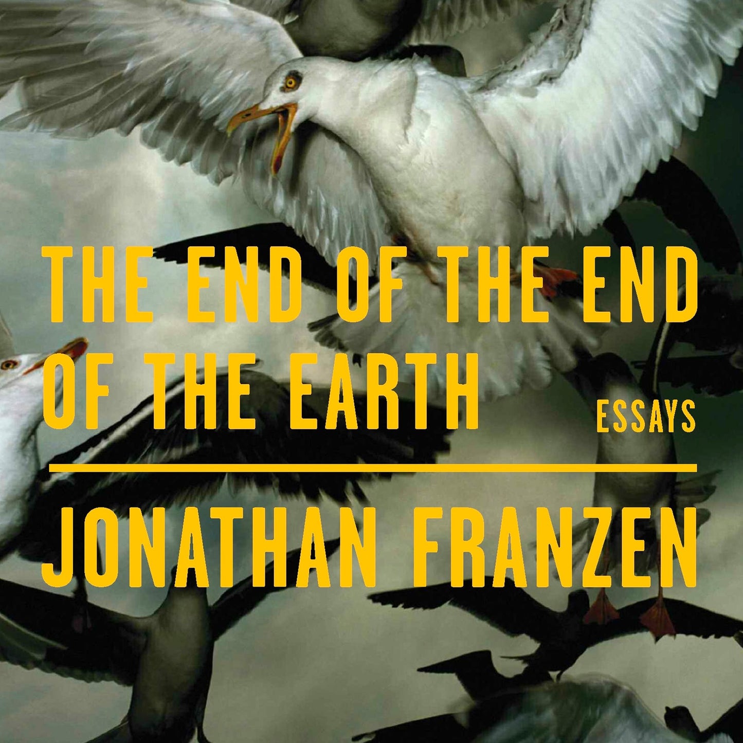 The End of the End of the Earth : Essays