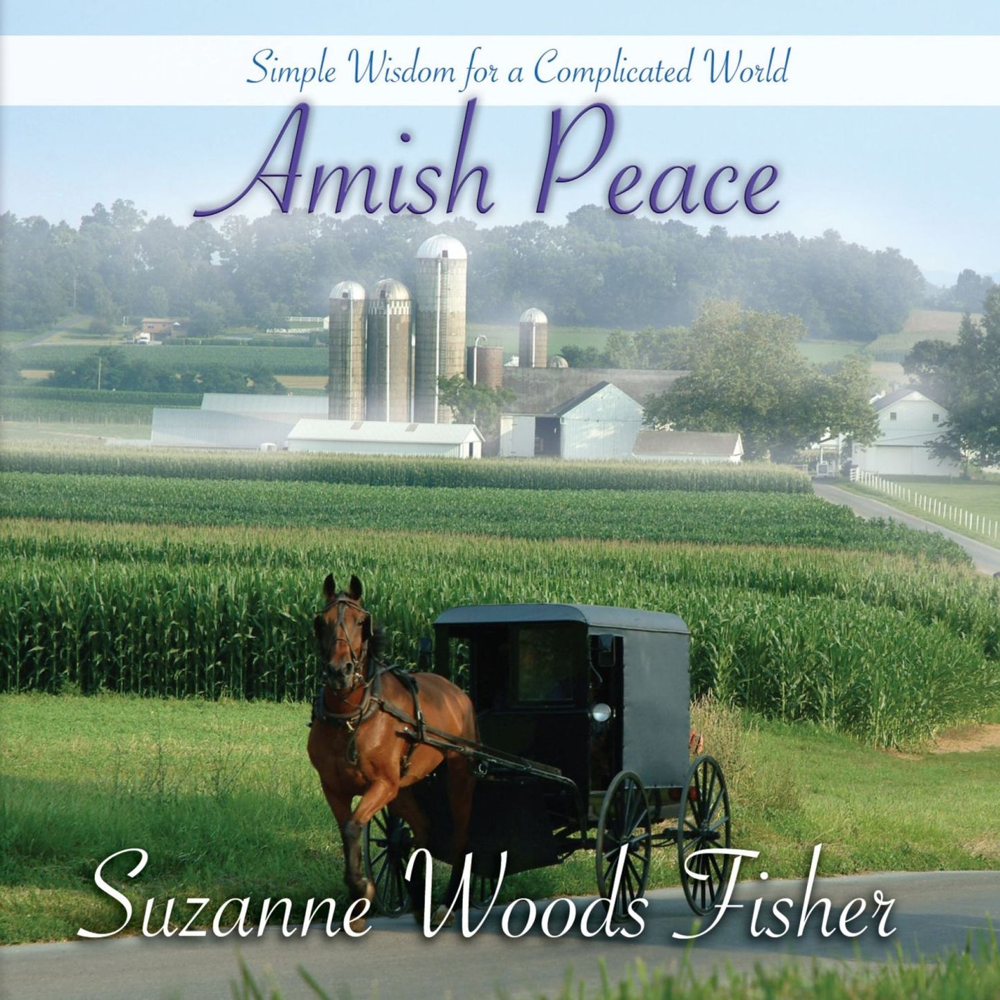 Amish Peace : Simple Wisdom for a Complicated World
