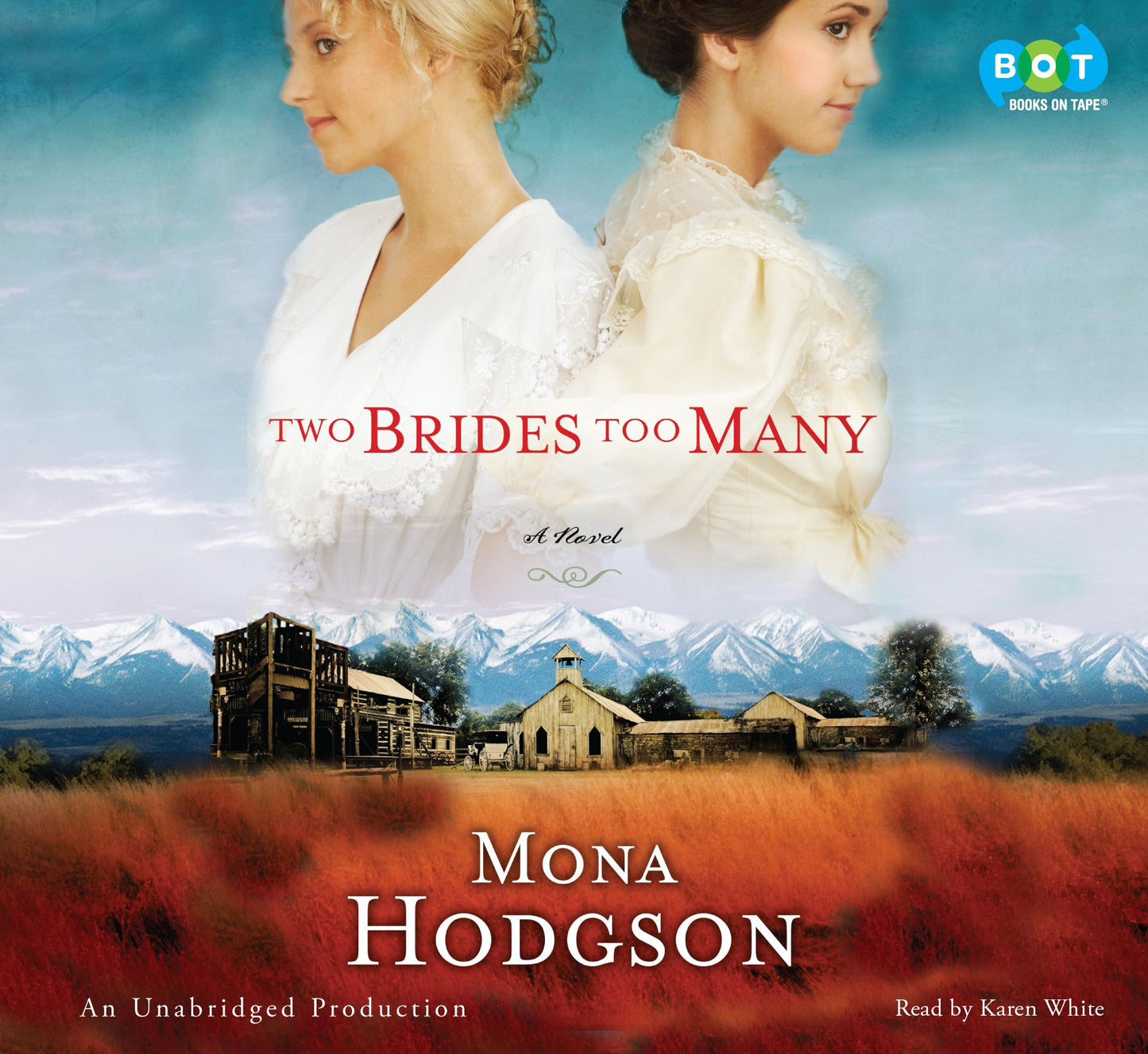 Two Brides Too Many: A Novel