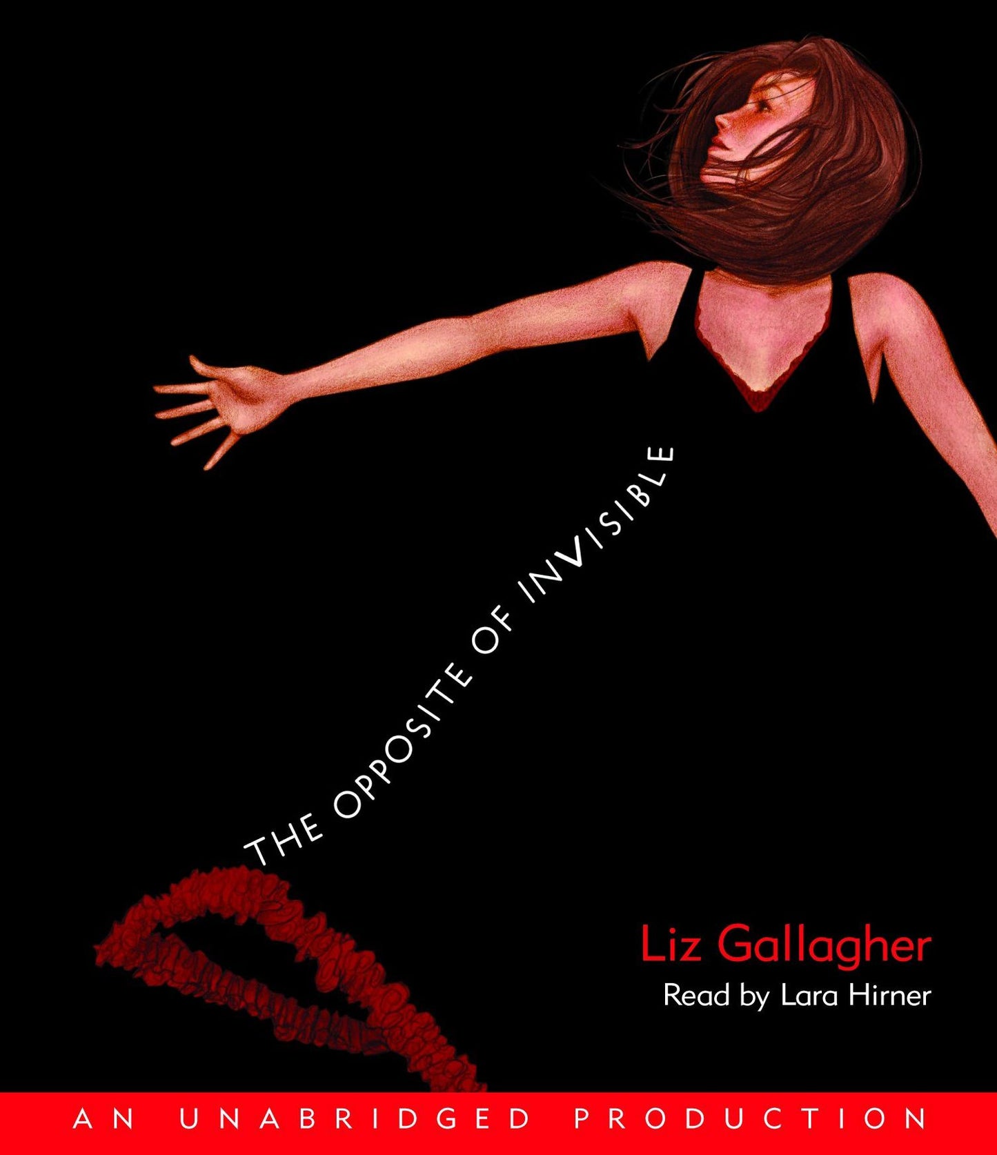 The Opposite of Invisible