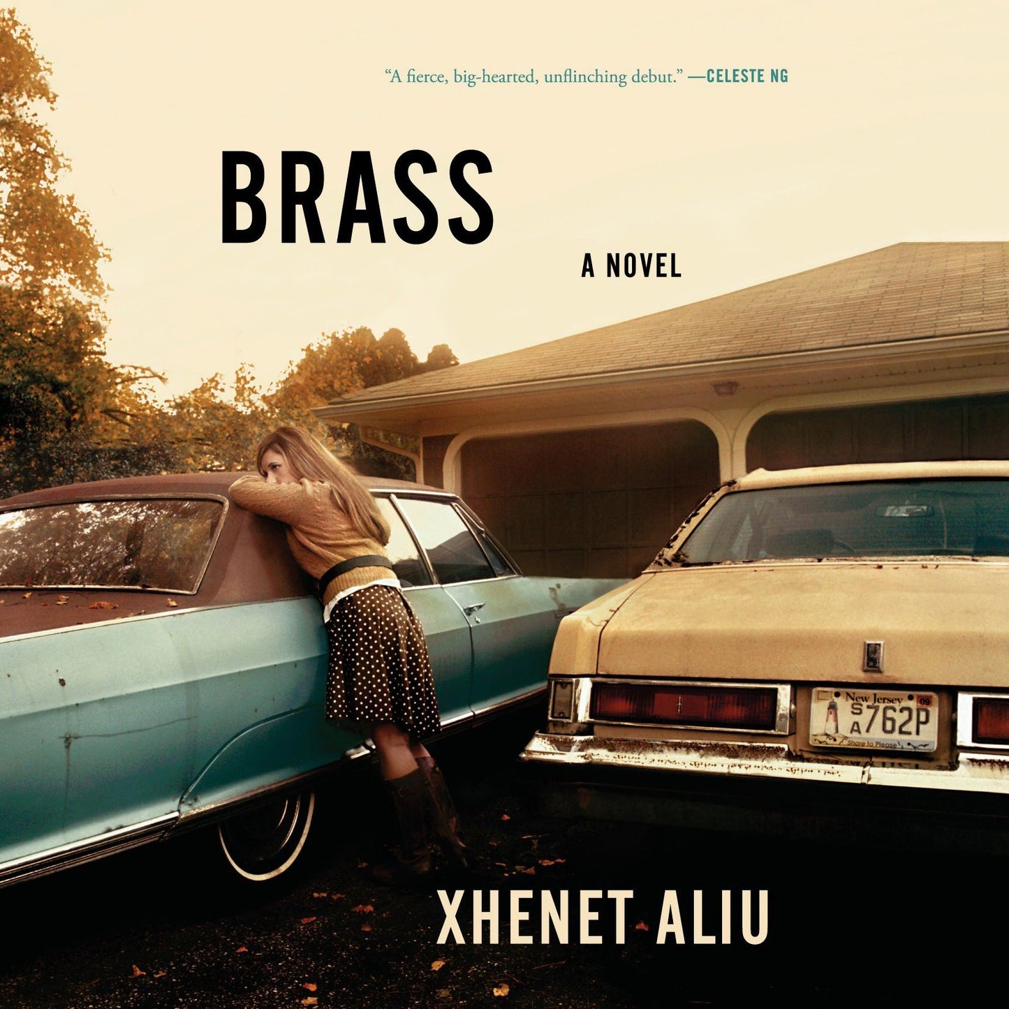 Brass: A Novel