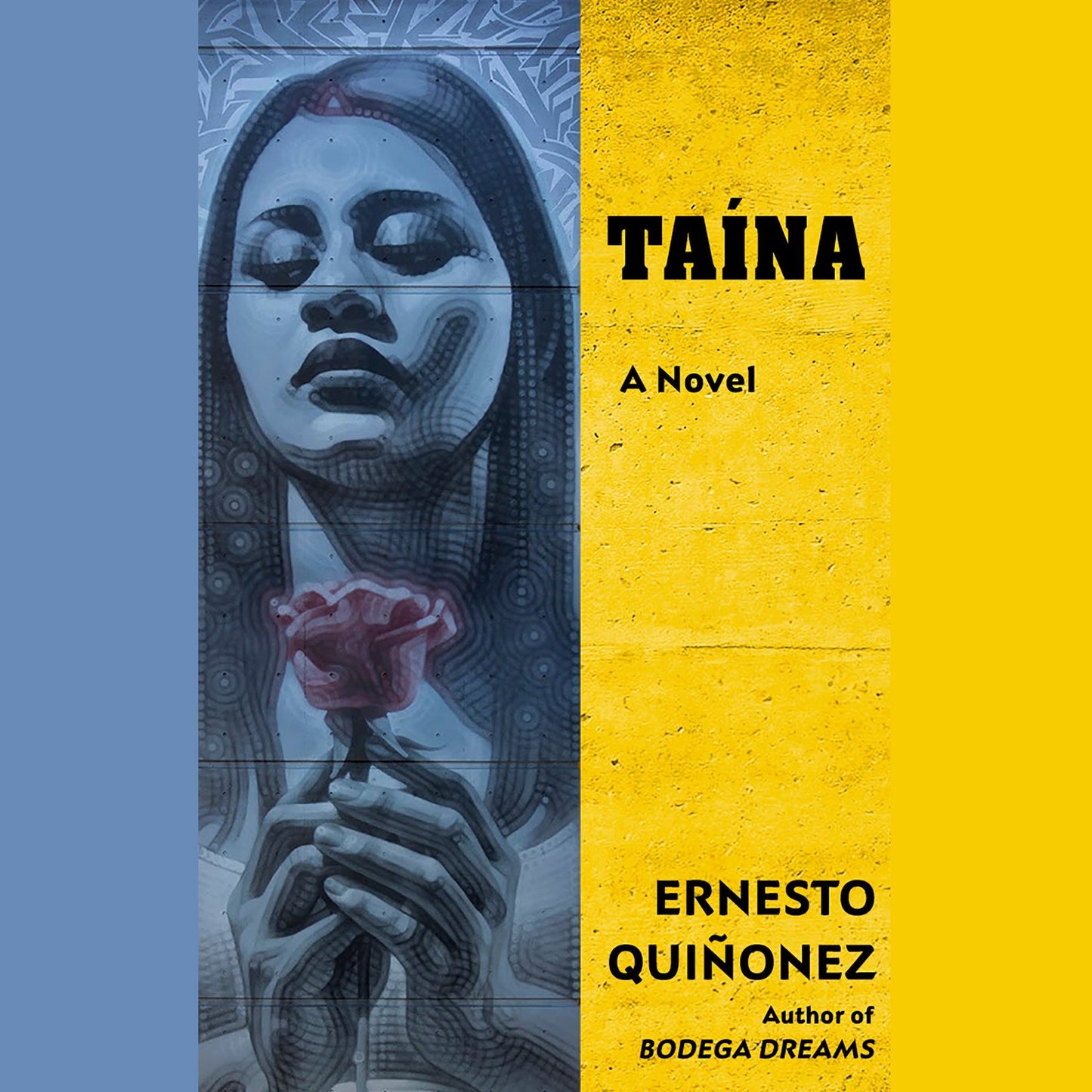 Taína: A Novel